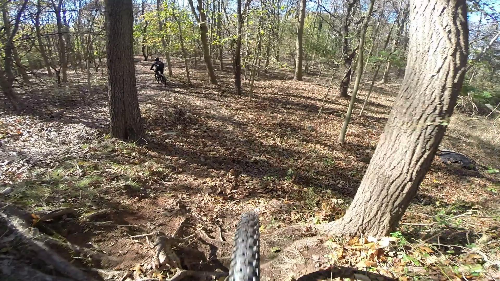 A view from the front of a mountain bike, showing a twisting dirt path through a forest with trees and fallen leaves, as another rider can be seen in the background. Sunlight filters through the branches, highlighting the natural beauty of the trail. Richmond Avenue and Forest Hill road mountain bike trail.