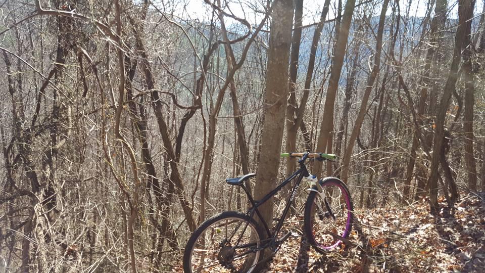 Surly Karate Monkey: A mountain bike resting on a rocky trail surrounded by tall trees and sparse underbrush, with a mountainous landscape visible in the background under a clear sky.