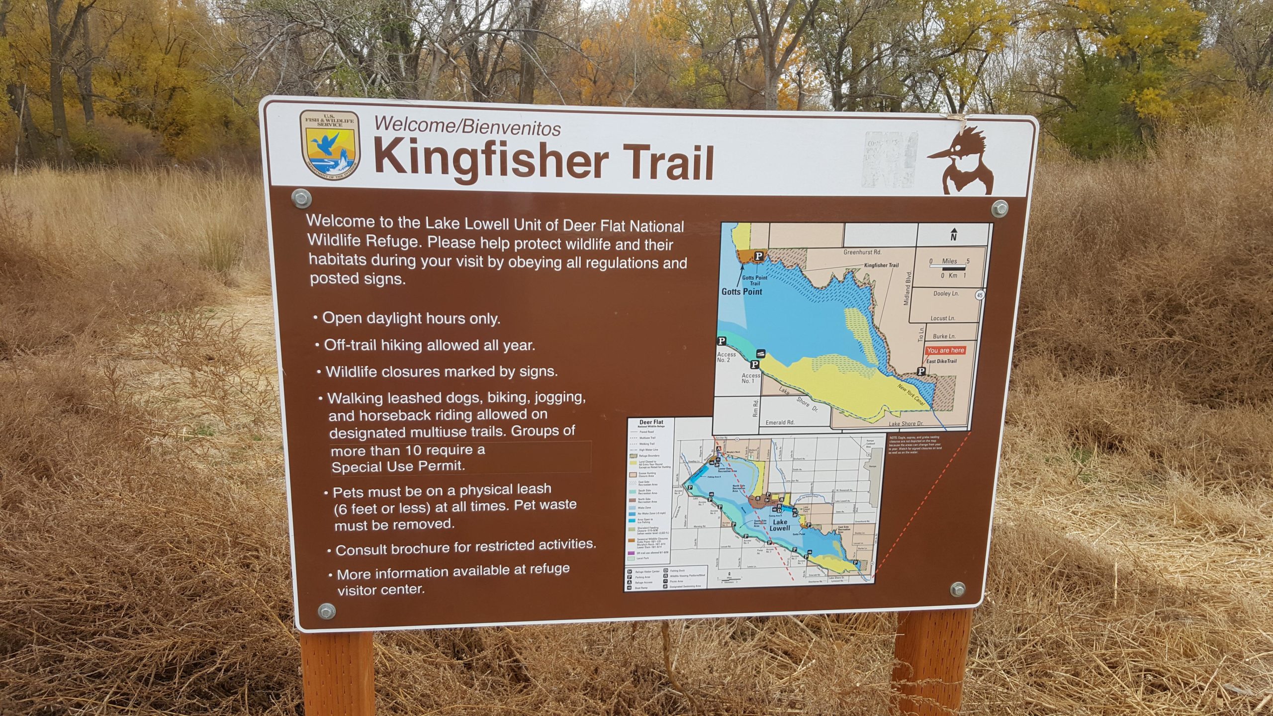 A brown informational sign for Kingfisher Trail at the Lake Lowell Unit of Deer Flat National Wildlife Refuge. The sign includes guidelines for trail usage, a map of the area, and notes on wildlife protection and permitted activities. The background features dry grasses and trees with autumn foliage. Kingfisher Trail mountain bike trail.