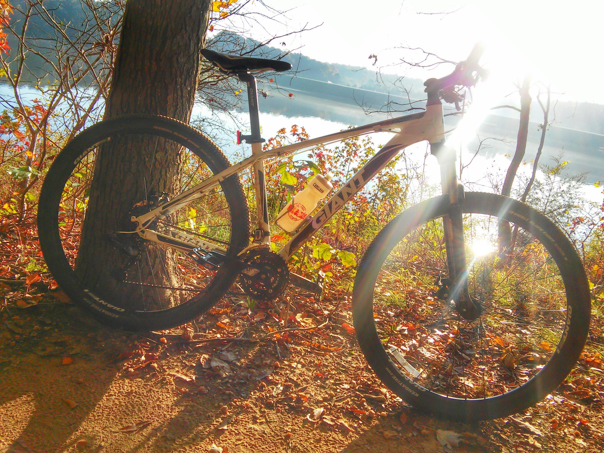 A mountain bike resting against a tree, surrounded by autumn leaves and a serene lake in the background. The sun shines brightly, creating a warm, glowing atmosphere. Lake Crabtree County Park mountain bike trail.
