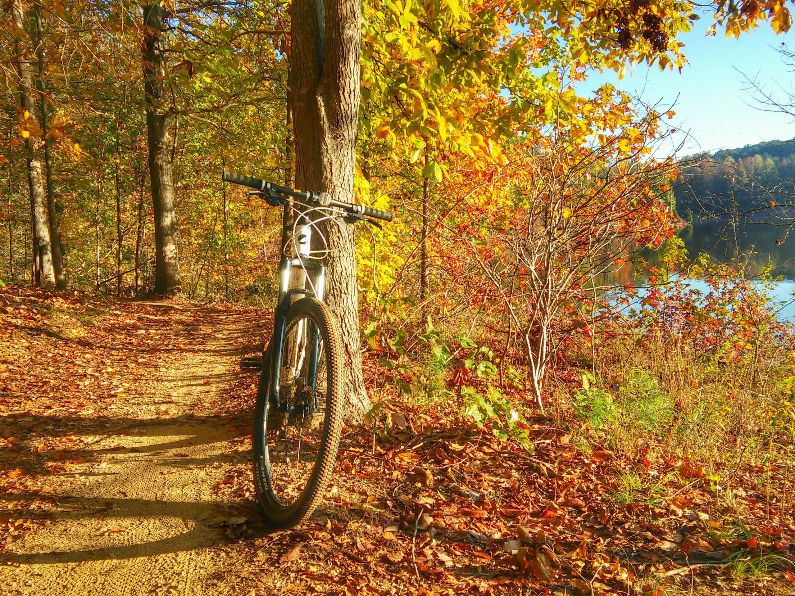 A mountain bike parked on a dirt trail surrounded by autumn foliage. The path is lined with colorful leaves, and a tranquil body of water is visible in the background, with sunlight filtering through the trees. Lake Crabtree County Park mountain bike trail.
