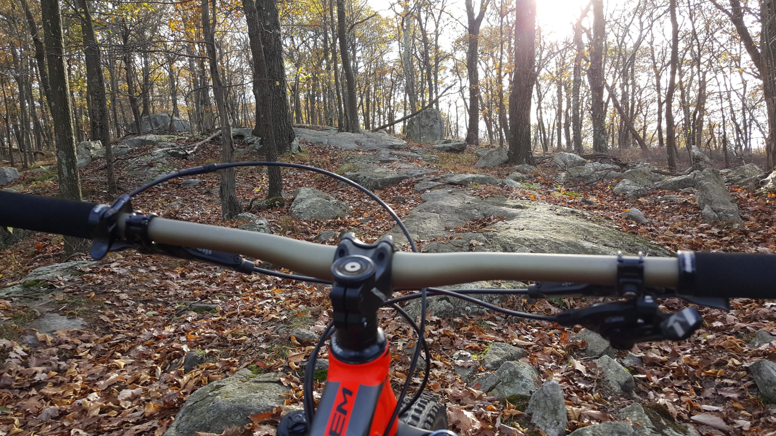 Close-up view of a mountain bike's handlebars in a wooded area, with rocky terrain and colorful autumn leaves scattered on the ground. Sunlight filters through the trees in the background, creating a serene outdoor atmosphere. Ramapo Mountain State Forest mountain bike trail.