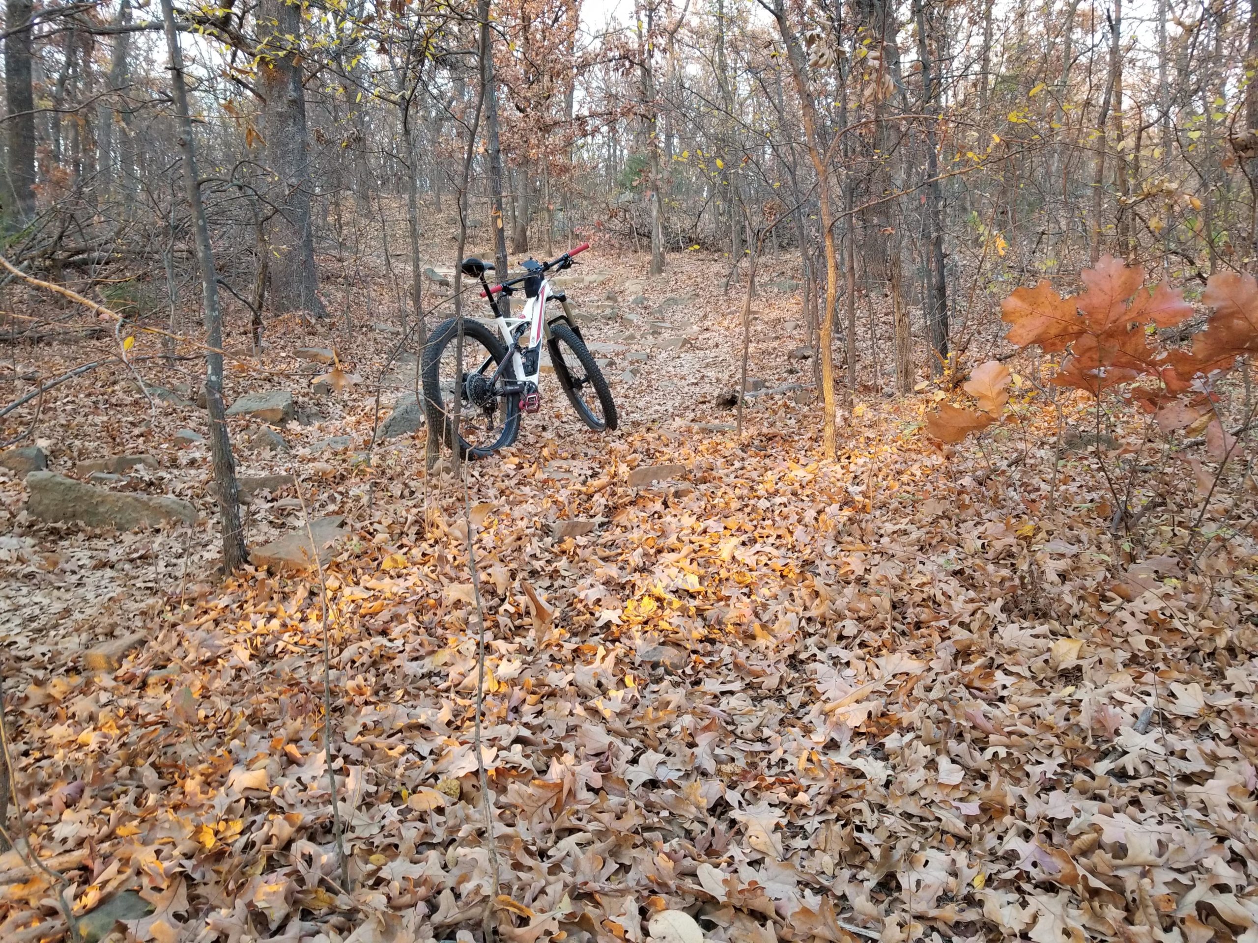 A mountain bike resting by a trail in a wooded area covered with fallen leaves, surrounded by trees in autumn hues. Turkey Mountain mountain bike trail.