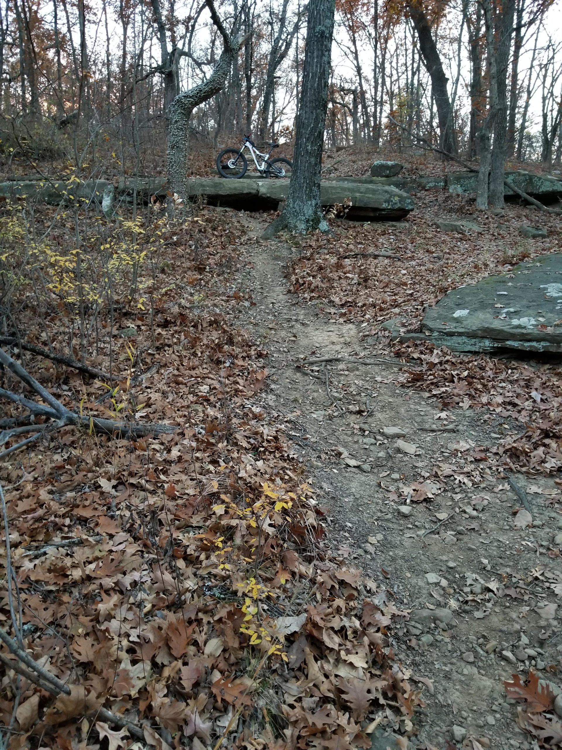 A winding dirt trail through a forested area, covered with fallen leaves. In the background, a mountain bike is parked near a large rock formation, surrounded by trees. The scene is set in autumn, with some yellow leaves visible among the brown foliage. Turkey Mountain mountain bike trail.