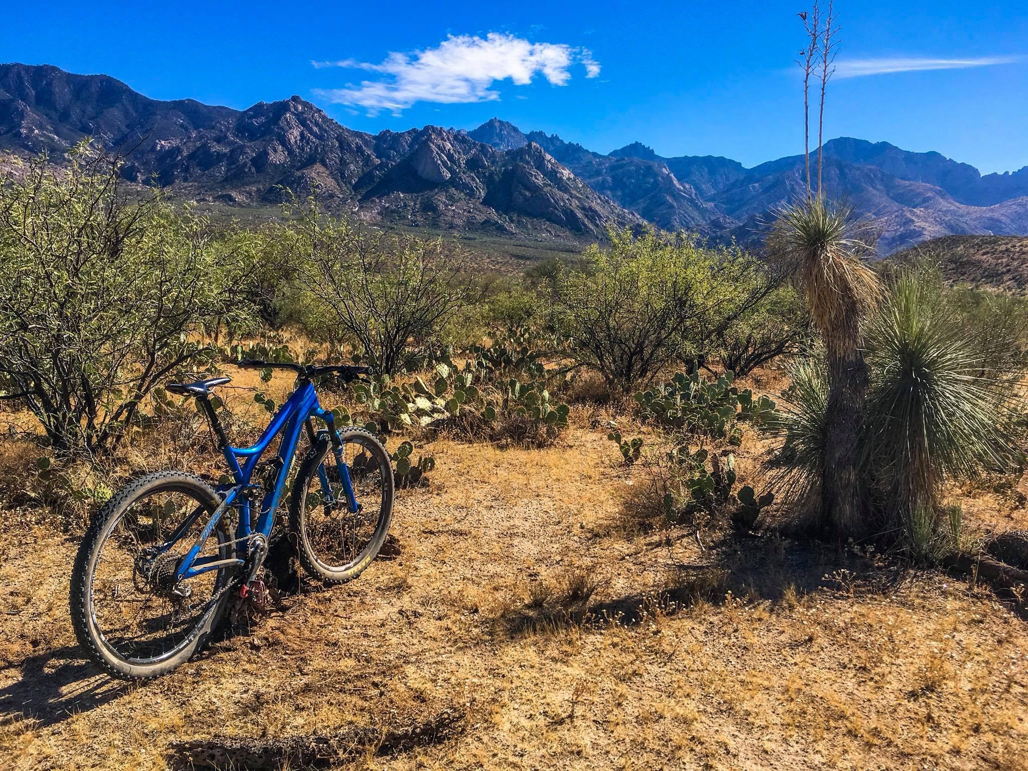 A blue mountain bike parked on dry terrain surrounded by desert vegetation, including cacti and shrubs, with a backdrop of rugged mountains under a clear blue sky. 50-year Trail / Golder Ranch mountain bike trail.