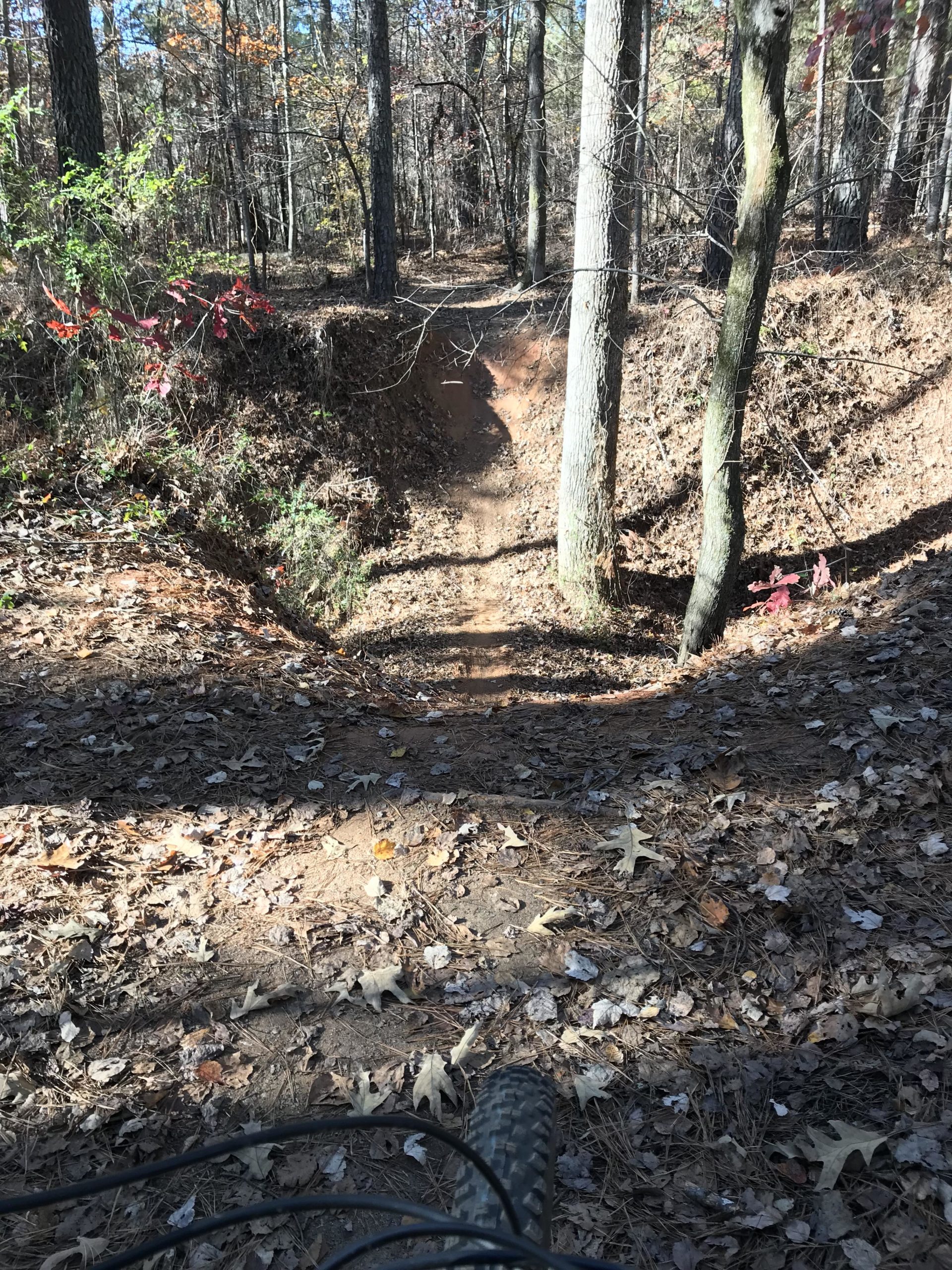 A view looking down a dirt biking trail in a wooded area, surrounded by trees and scattered autumn leaves. The trail descends gently and appears well-worn, indicating frequent use. Sunlight filters through the branches, casting dappled shadows on the ground. Fort Yargo State Park mountain bike trail.