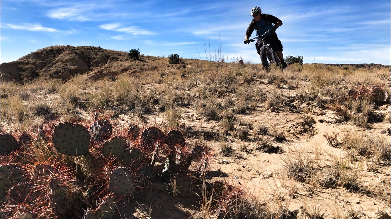 A cyclist navigating a rugged terrain with a mountain bike, surrounded by dry grass and a cluster of prickly pear cacti in the foreground. The background features a rocky hill under a clear blue sky. Mariposa Fat Bike Trails mountain bike trail.