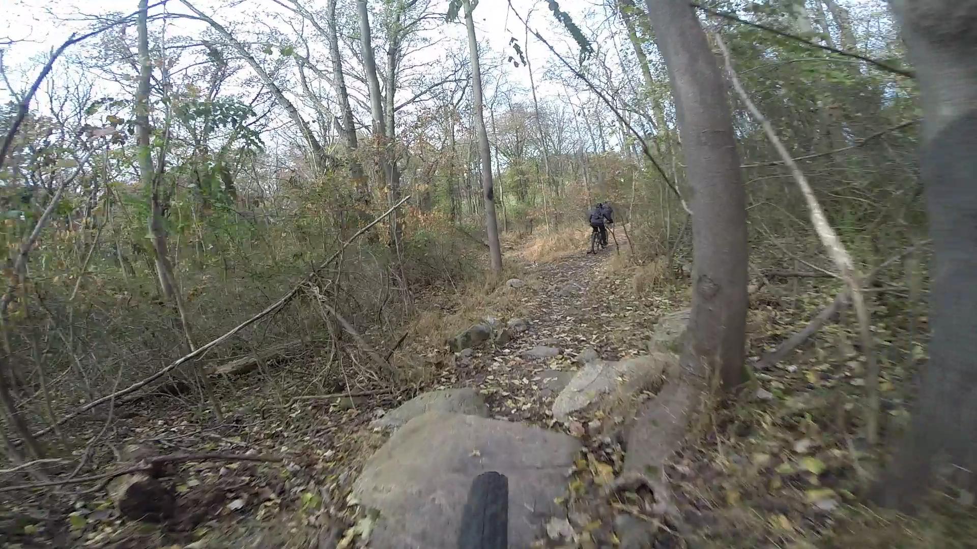 A mountain biker navigating a rocky trail in a wooded area, surrounded by trees and fallen leaves. The path is narrow and lined with natural obstacles, indicating an adventurous outdoor setting. Richmond Avenue and Forest Hill road mountain bike trail.