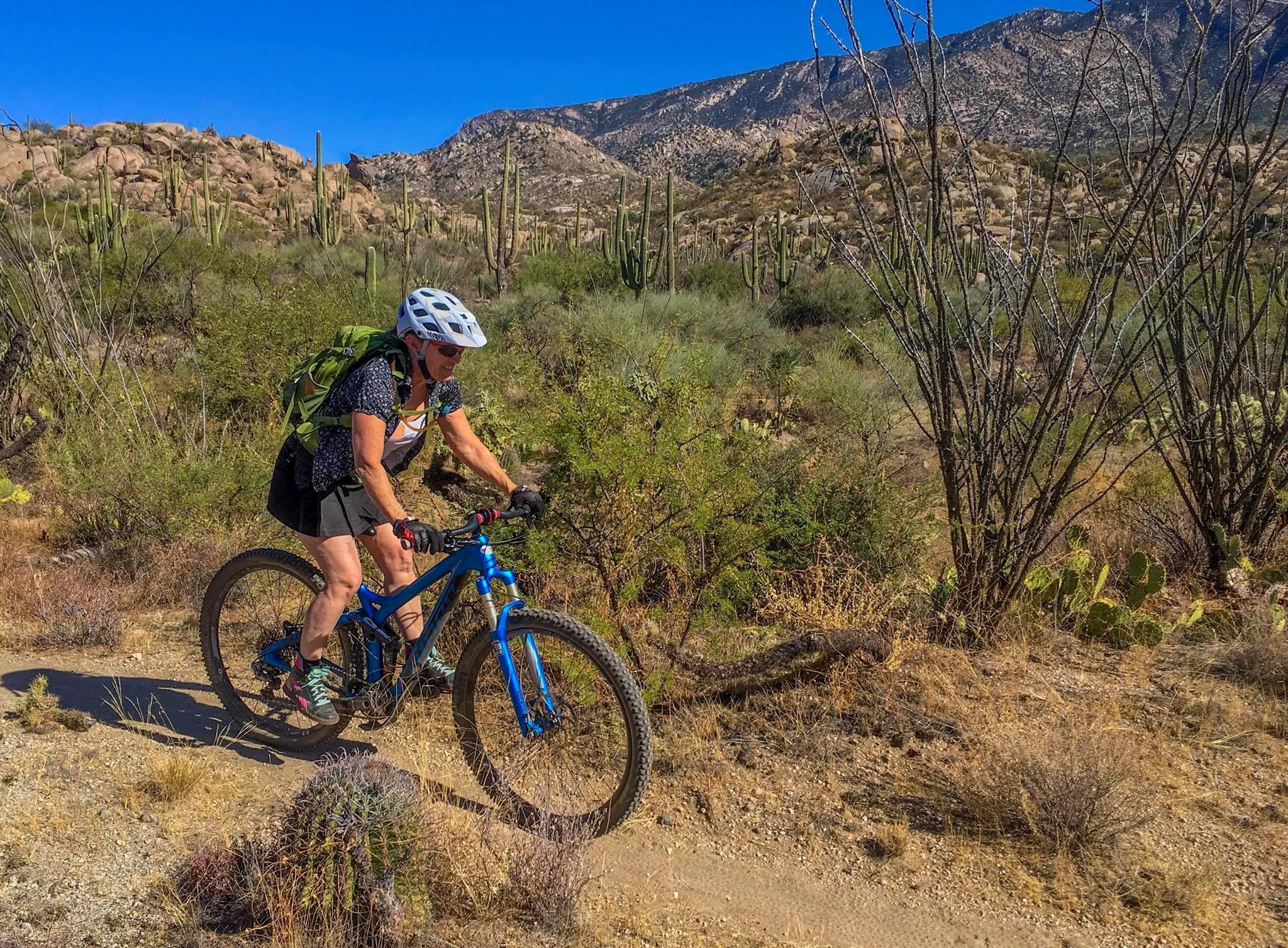 A person riding a blue mountain bike on a dirt trail surrounded by desert vegetation, including cacti and shrubs, with mountains visible in the background under a clear blue sky. The cyclist wears a white helmet and a backpack. 50-year Trail / Golder Ranch mountain bike trail.