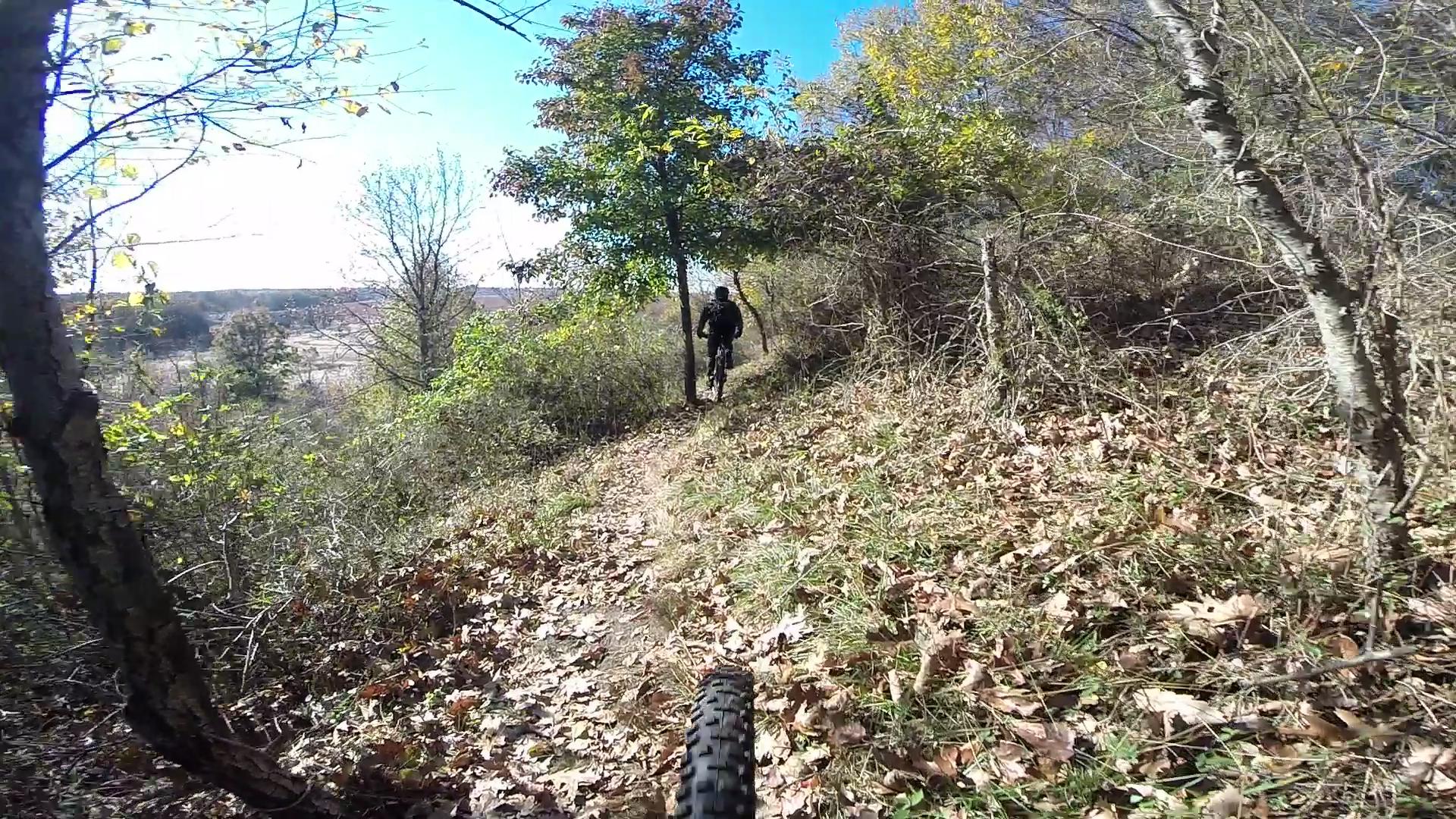 A mountain biker riding along a wooded trail, surrounded by trees and autumn leaves, with a clear blue sky above. The image captures the perspective from the bike, showing the front tire and the path ahead. Richmond Avenue and Forest Hill road mountain bike trail.