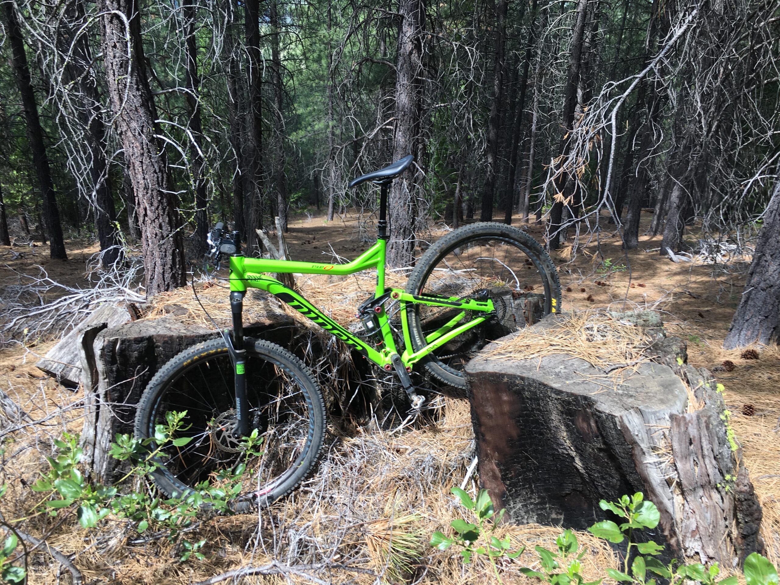 Niner Jet 9: A bright green mountain bike resting on a log in a forested area, surrounded by trees and pine needles on the ground. The bike is partially obscured by foliage, with a focus on the front wheel and frame.