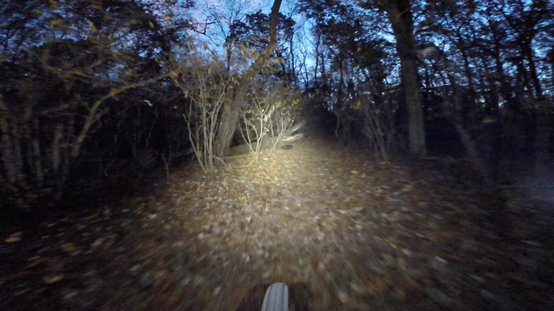 A nighttime trail view, illuminated by a bike's headlight, showing a narrow path surrounded by trees and underbrush with fallen leaves covering the ground. The scene captures the ambiance of riding through a dark forest, with a faint blue light indicating the twilight sky above. Richmond Avenue and Forest Hill road mountain bike trail.