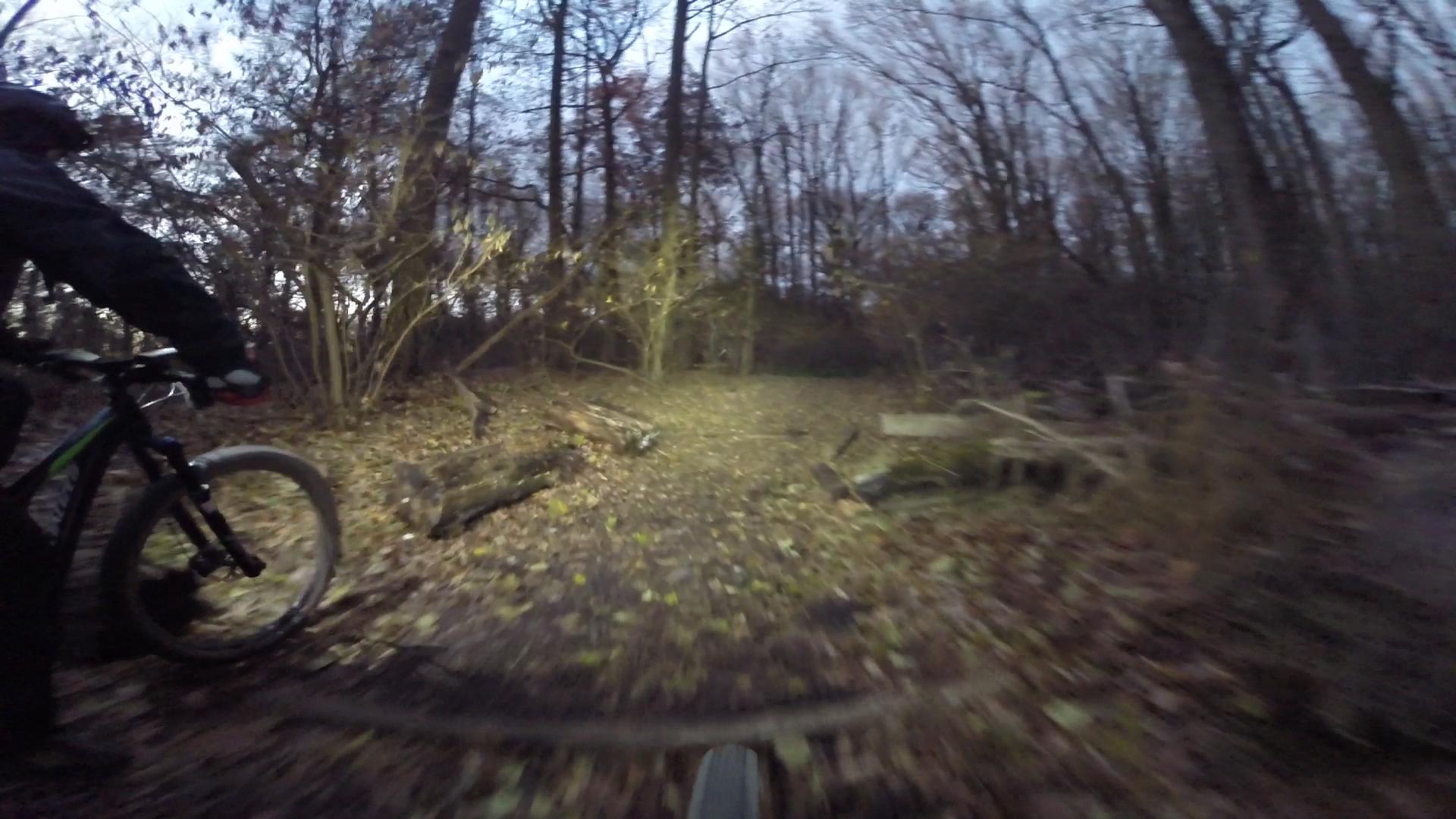 A mountain biker rides along a narrow, leaf-covered trail in a dense, wooded area during dusk. The scene is illuminated by the bike's headlight, revealing fallen logs and trees surrounding the path. Richmond Avenue and Forest Hill road mountain bike trail.