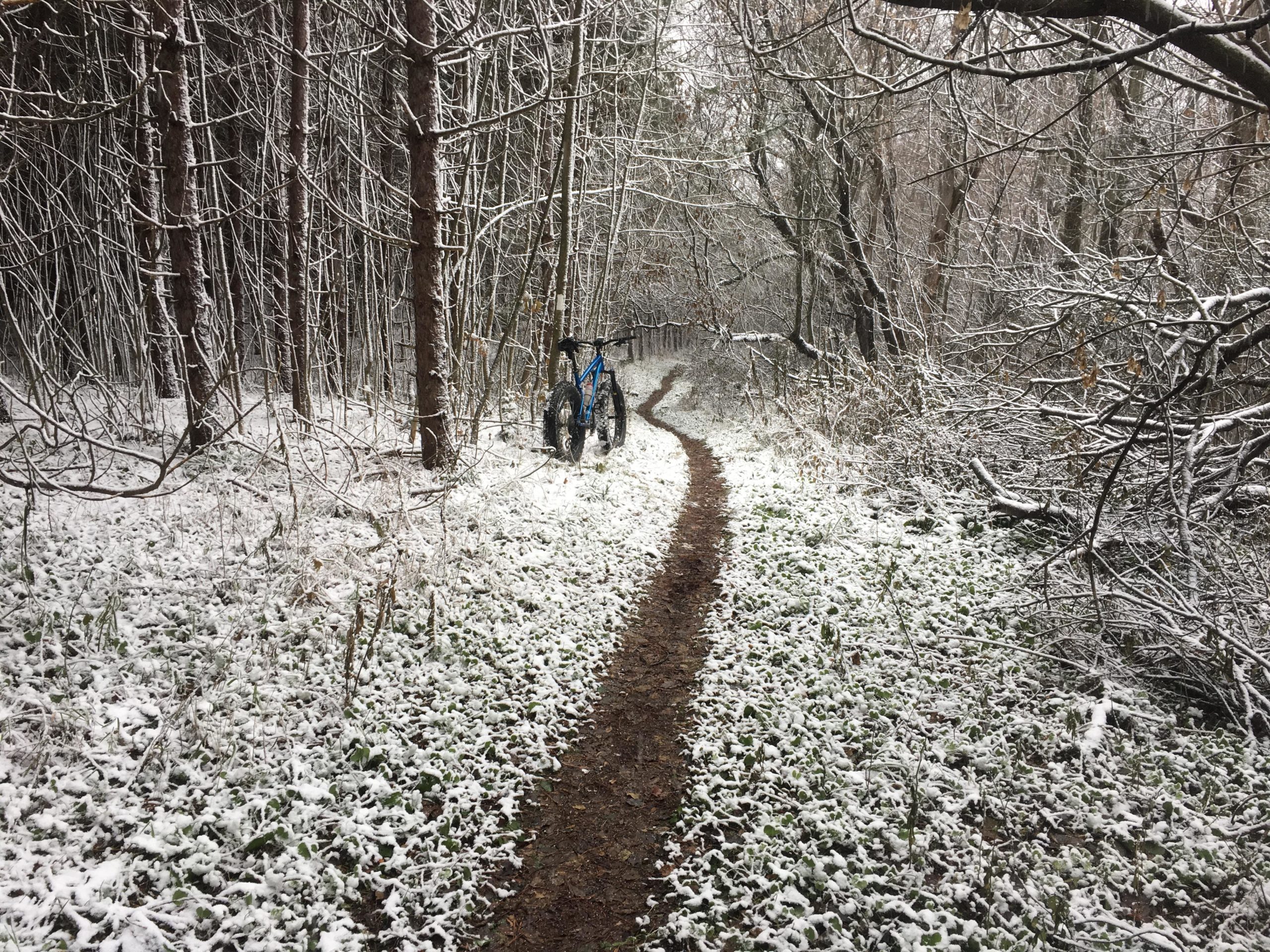 A snow-covered forest path with a blue mountain bike leaning against a tree. Snow blankets the ground and branches, creating a serene winter scene. The winding trail leads deeper into the woods, surrounded by bare trees. Glen Haffy Conservation Area mountain bike trail.