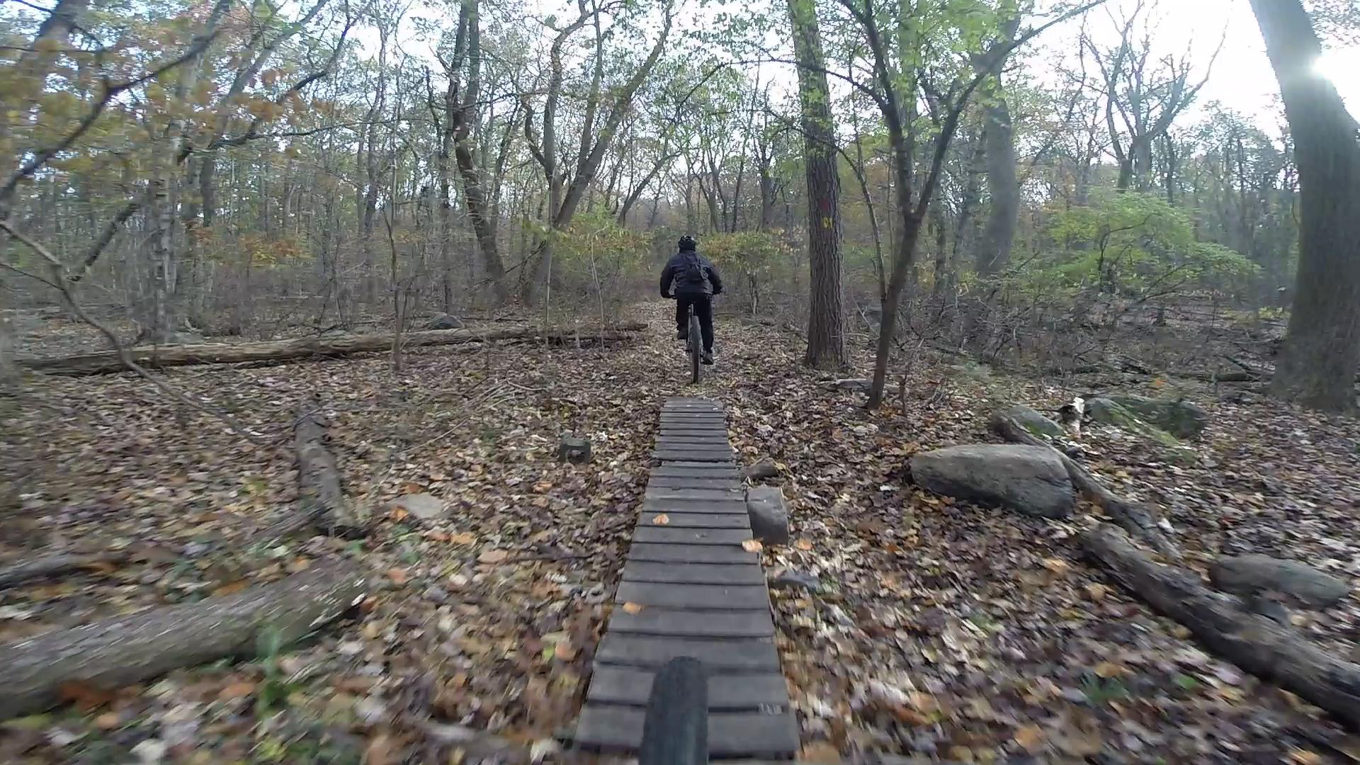 A cyclist riding a mountain bike on a narrow wooden bridge surrounded by trees and fallen leaves in a forested area. Richmond Avenue and Forest Hill road mountain bike trail.