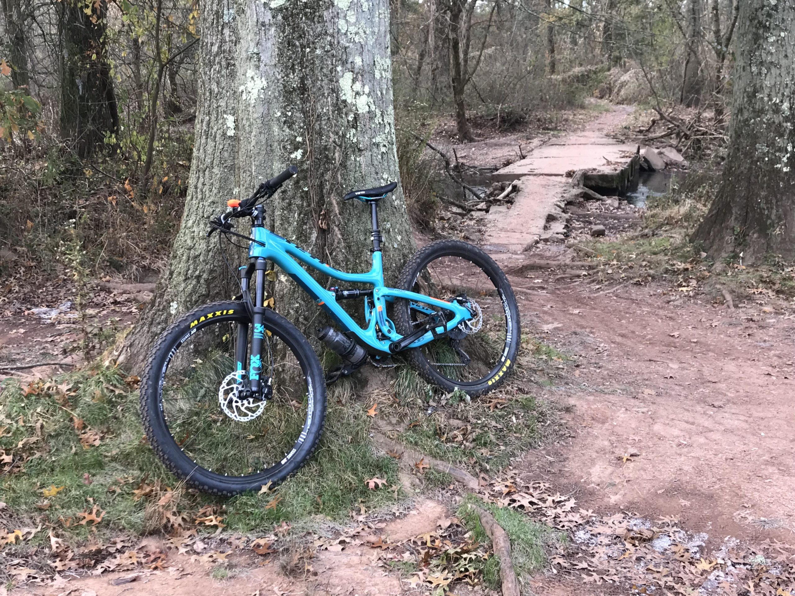 A bright blue mountain bike rests against a large tree in a wooded area. The bike features thick tires and a front suspension, positioned near a dirt path that leads to a small wooden bridge crossing a stream. Surrounding foliage includes grass and fallen leaves, indicating an autumn setting. Six Mile Run mountain bike trail.
