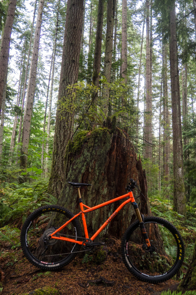 free coins fafafa gold