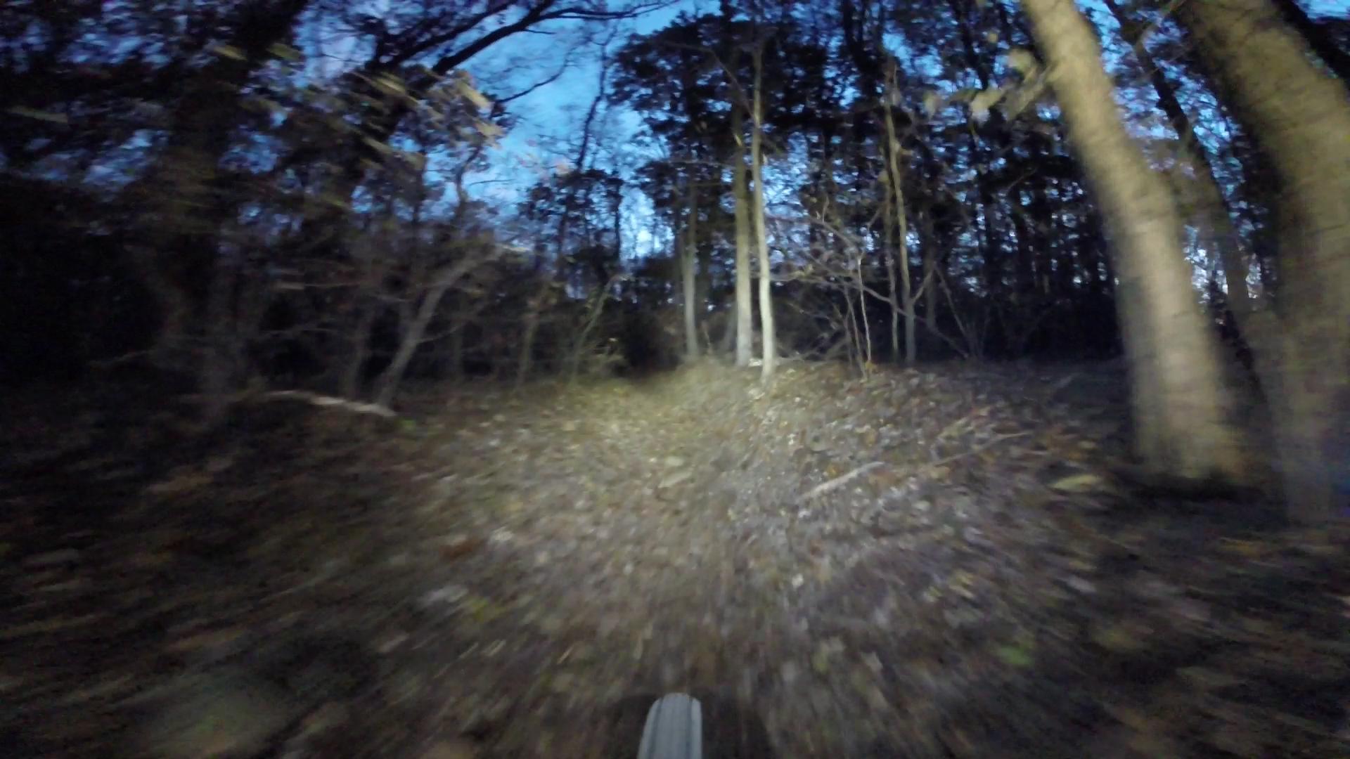 A view from the perspective of a cyclist riding through a wooded area at dusk, with a faint light illuminating the path ahead. Trees and branches are visible on either side, and fallen leaves cover the ground, contributing to a natural, rugged outdoor setting. Richmond Avenue and Forest Hill road mountain bike trail.