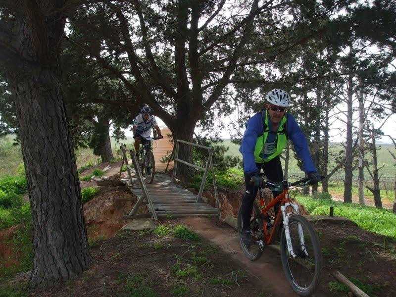 Two mountain bikers ride on a narrow wooden bridge surrounded by trees and greenery. One rider is coming down the bridge, while the other is approaching from behind. The scene captures the natural landscape and the excitement of biking in an outdoor setting. Wannabees mountain bike trail.