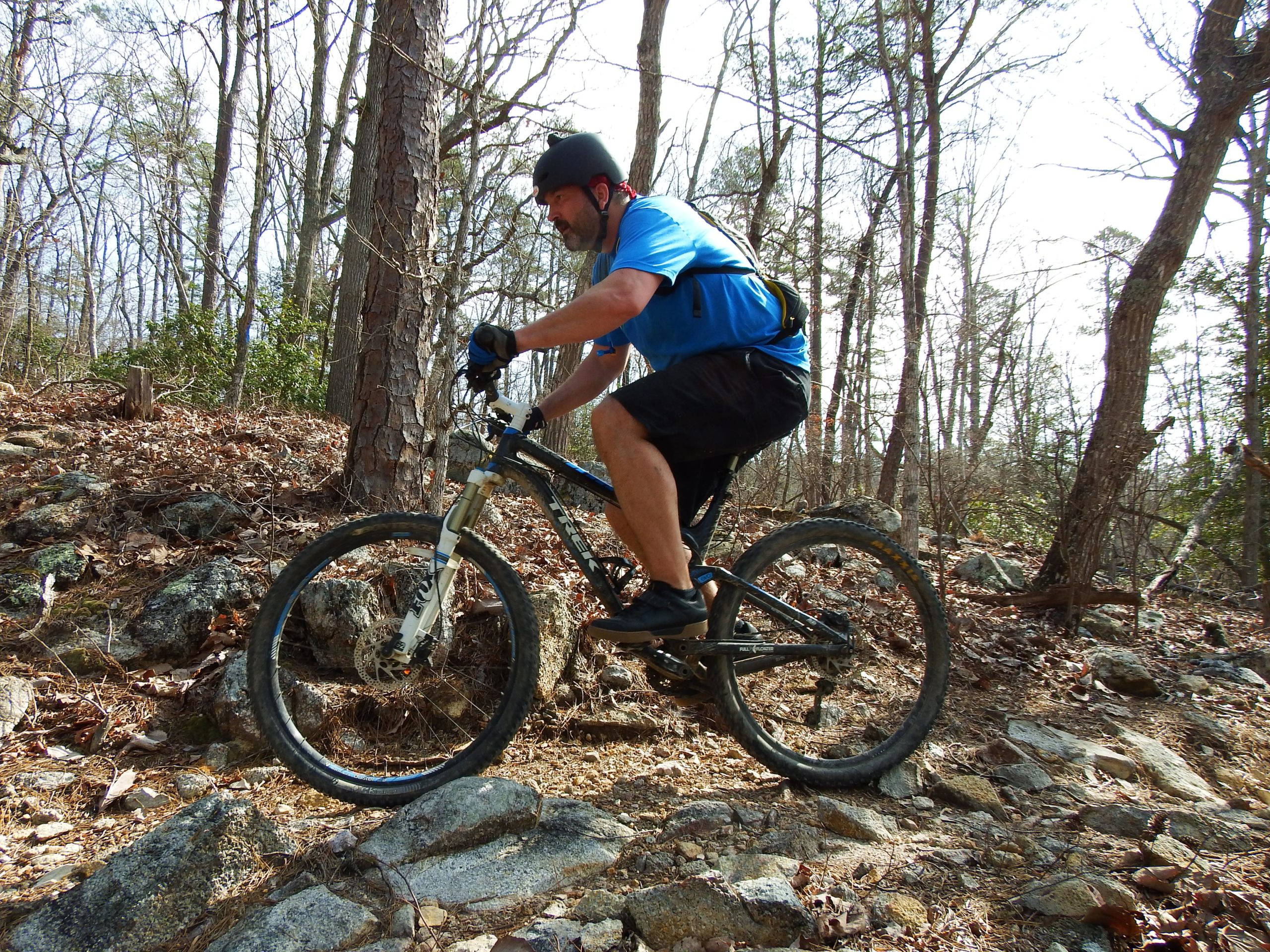 A cyclist in a blue shirt and black shorts navigating rocky terrain on a mountain bike, surrounded by trees and dry leaves in a forested area. Uwharrie NF: Wood Run, Supertree And Keyauwee mountain bike trail.