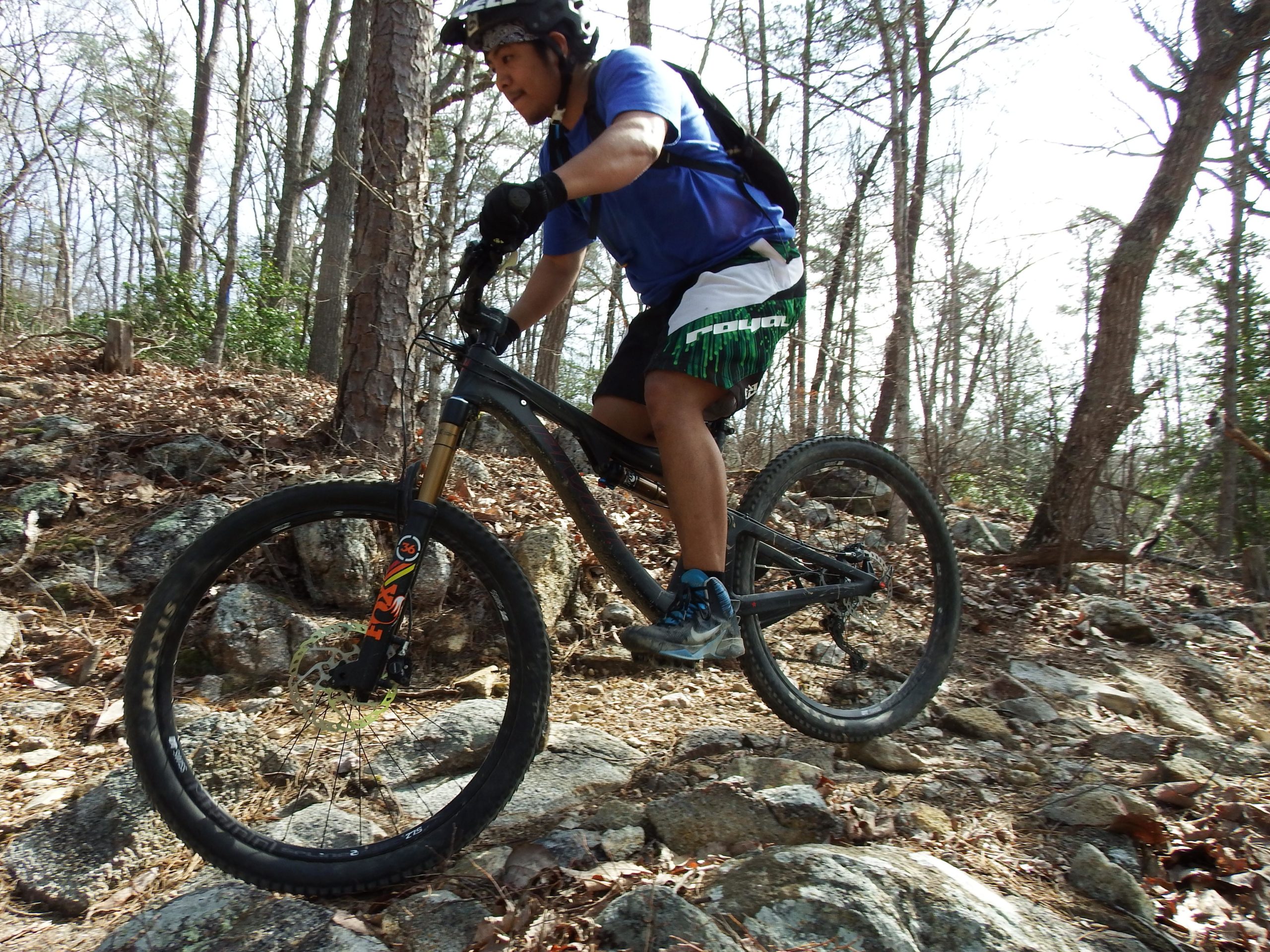 A mountain biker navigating over rocky terrain in a forested area. The cyclist, wearing a blue shirt, black gloves, and a helmet, is in action, skillfully maneuvering on a black bike. Surrounding vegetation includes bare trees and scattered leaves on the ground. Uwharrie NF: Wood Run, Supertree And Keyauwee mountain bike trail.