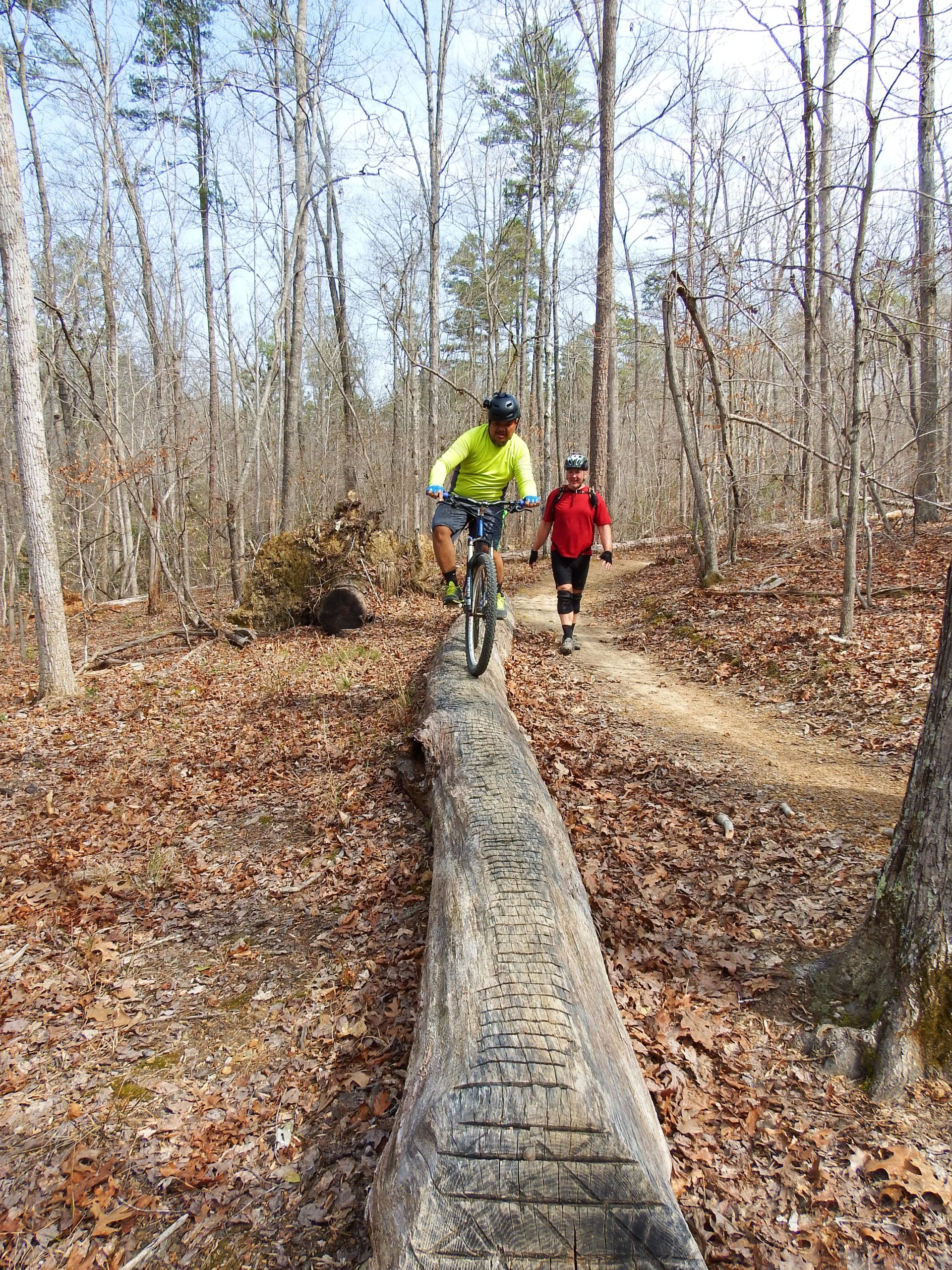 A cyclist skillfully balances on a log while another person walks nearby on a wooded trail. The scene is set in a forest with bare trees and fallen leaves, showcasing an outdoor biking adventure. Uwharrie NF: Wood Run, Supertree And Keyauwee mountain bike trail.