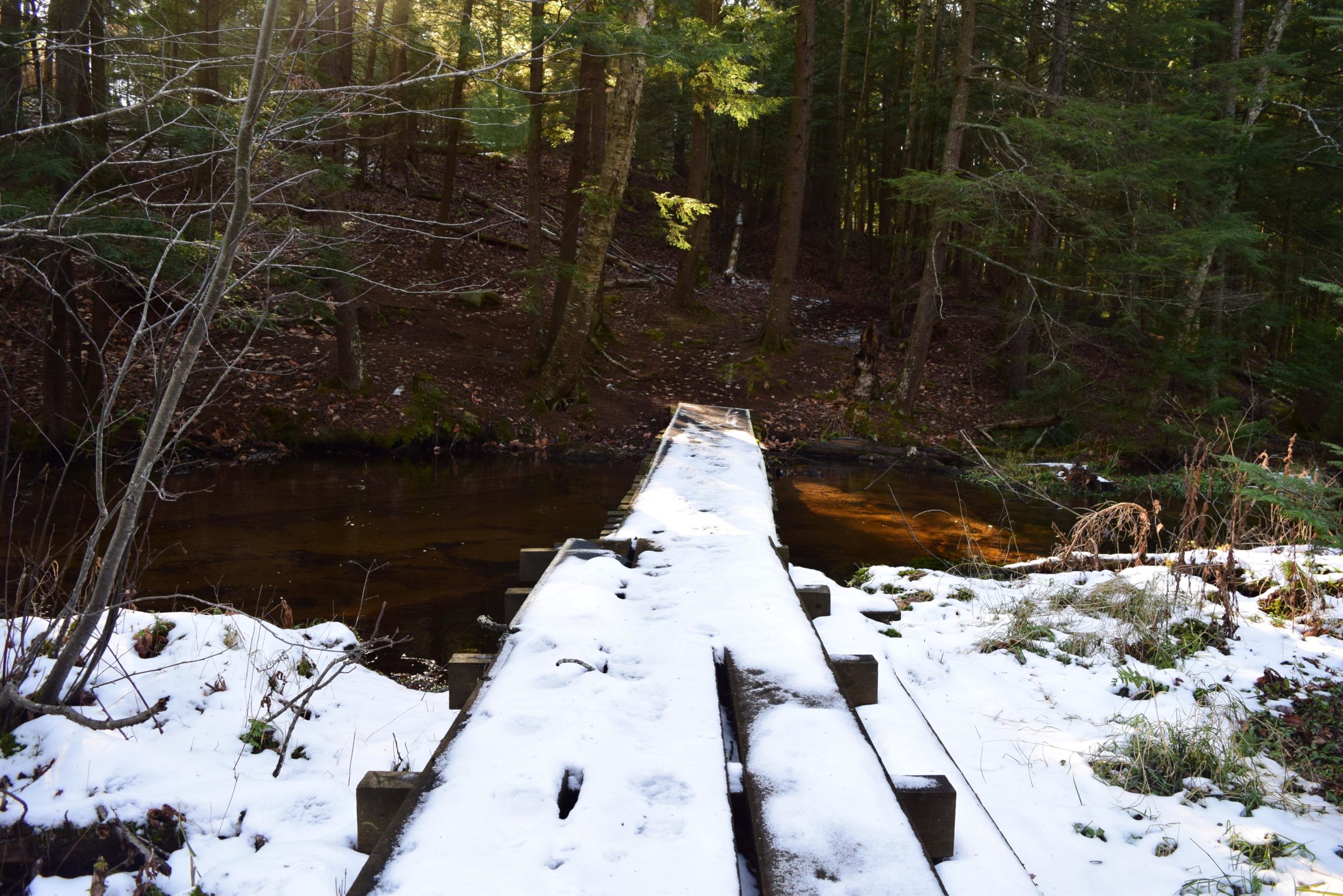 A wooden bridge covered in snow spans a shallow creek, with trees lining both sides. Sunlight filters through the forest canopy, illuminating the scene and creating a peaceful winter atmosphere. Leaf litter is visible on the ground, and patches of green vegetation peek through the snow near the water
