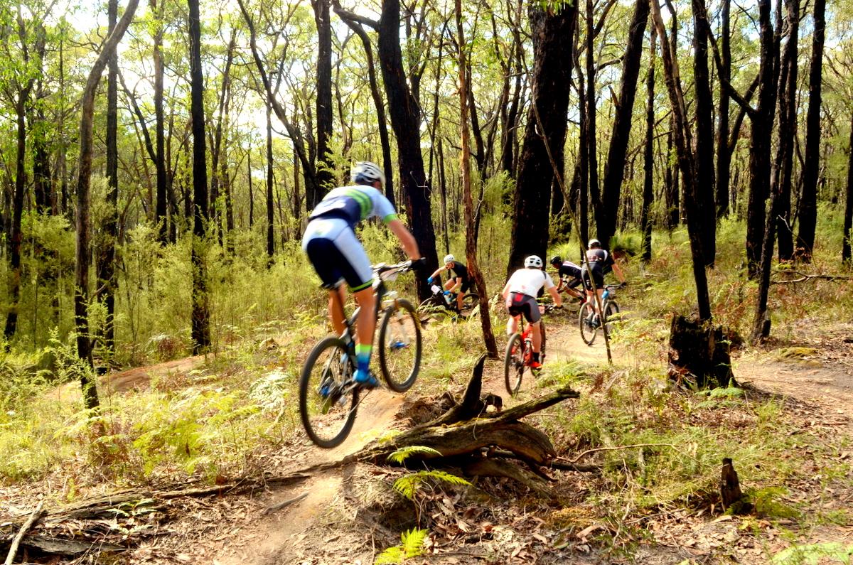 Four mountain bikers ride through a wooded trail, surrounded by tall trees and greenery. One rider is airborne as they navigate a jump, while the others follow closely behind on a dirt path. The scene captures the excitement of outdoor biking in a natural setting. Forrest Mtb Trails mountain bike trail.