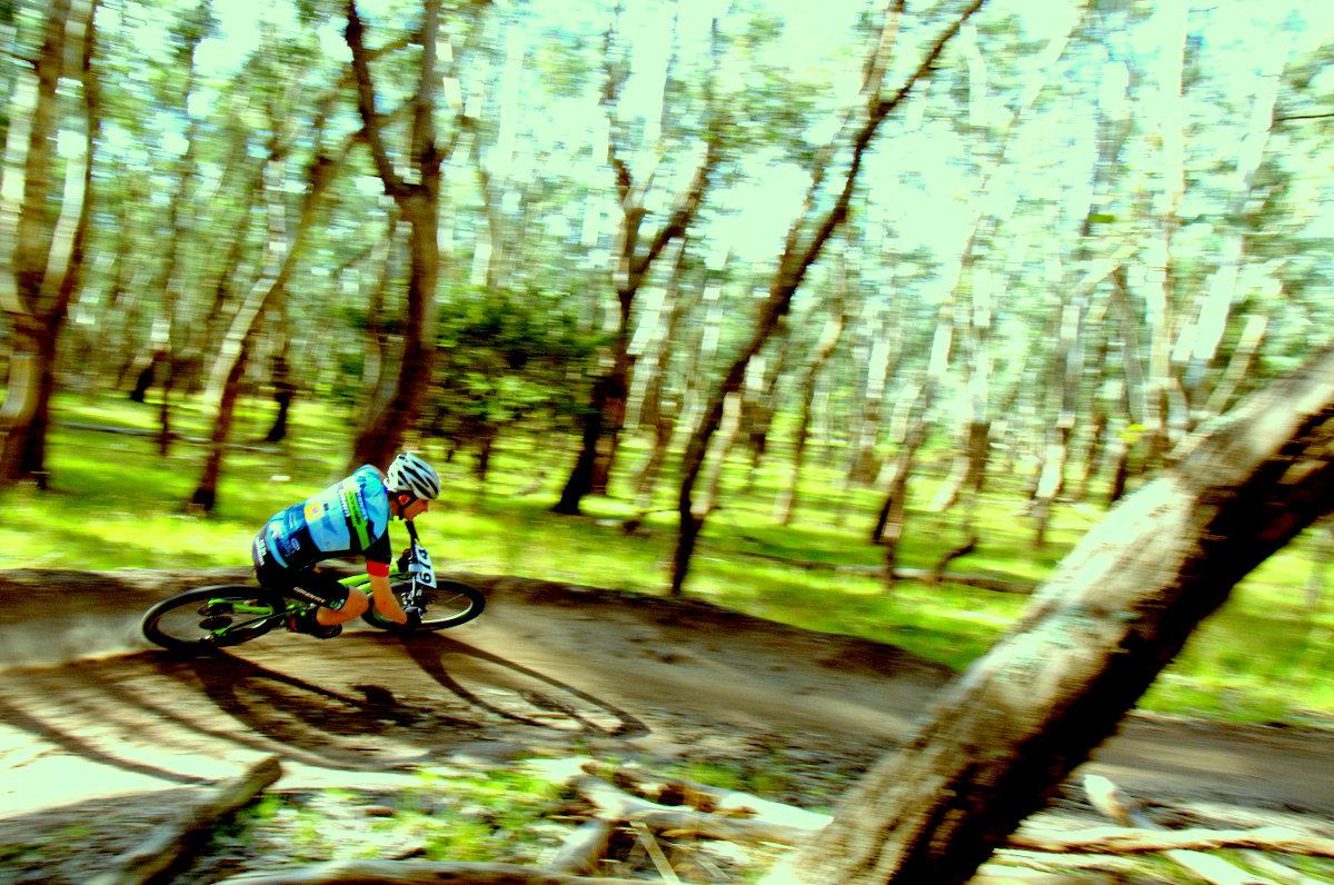 A mountain biker navigating a winding trail in a dense forest, surrounded by tall trees and a vibrant green undergrowth. The image captures the motion of the rider, showcasing speed and agility as dust kicks up from the trail. Lysterfield Mountain Bike Area mountain bike trail.