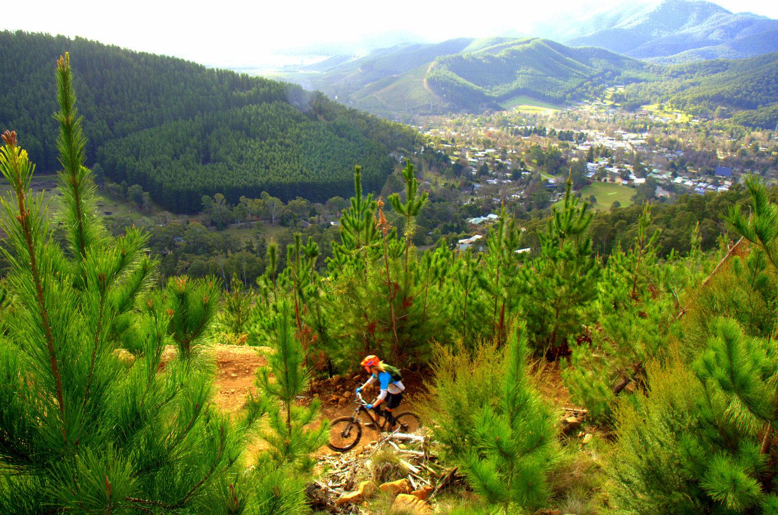 A mountain biker riding along a dirt trail surrounded by lush green pine trees, with a scenic view of rolling hills and a small town in the valley below. The sky is partly cloudy, allowing sunlight to illuminate the landscape. Hero Trail mountain bike trail.