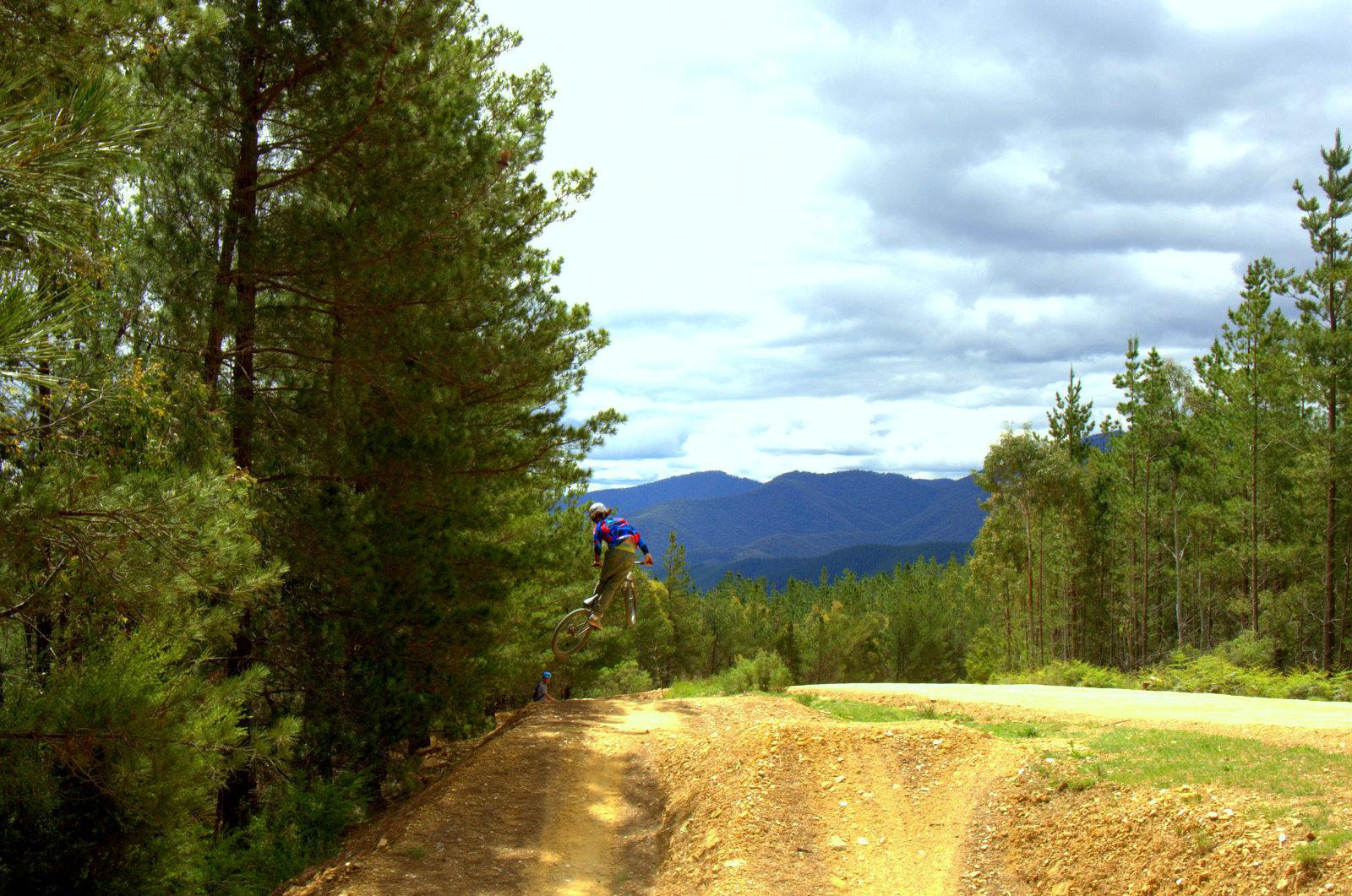 A mountain biker performing a jump on a dirt track surrounded by tall pine trees, with rolling mountains and cloudy skies in the background. Hero Trail mountain bike trail.