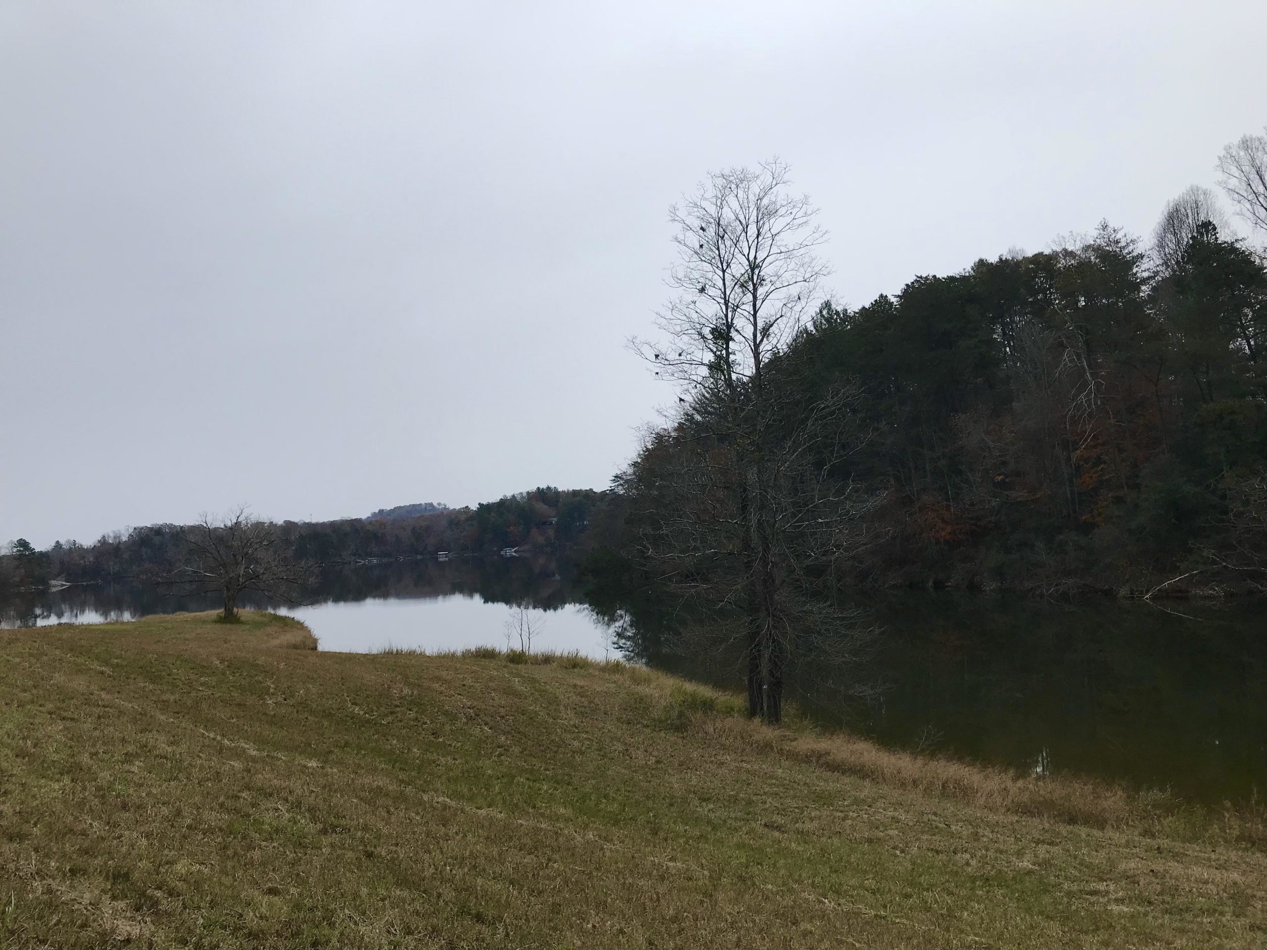 A serene lake view with a grassy foreground, gently sloping down to the water's edge. In the background, trees line the opposite shore, and the sky is overcast, creating a calm and tranquil atmosphere. Warrior Creek mountain bike trail.