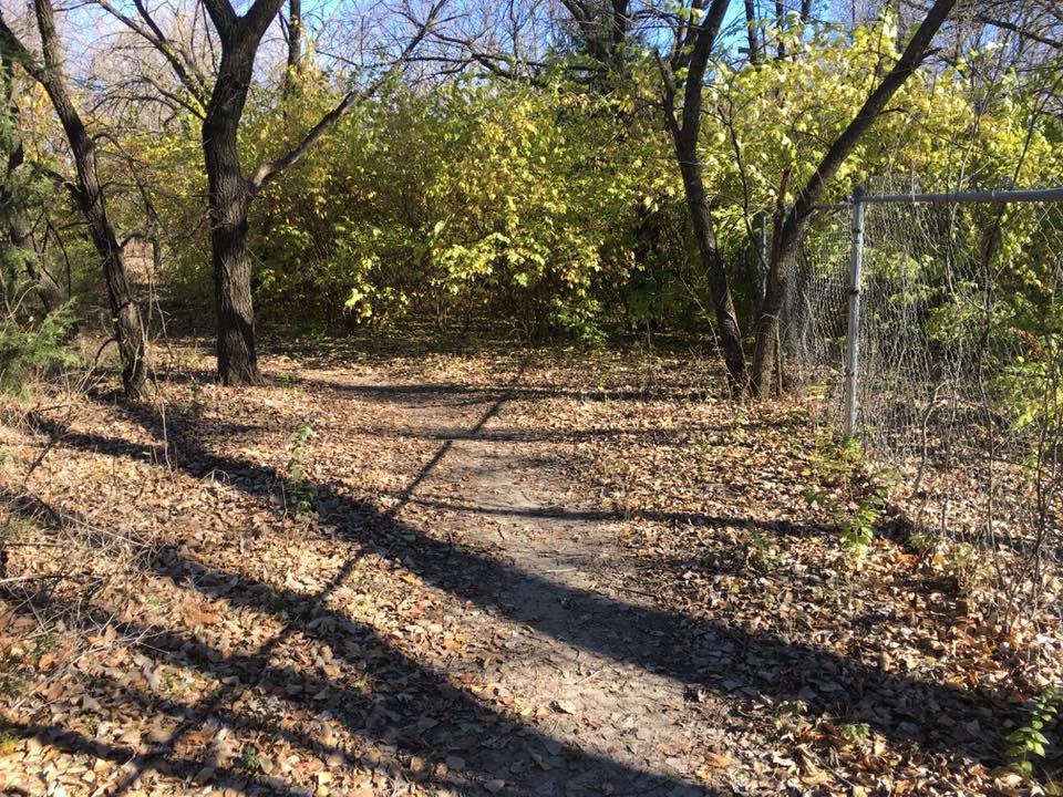 A sunny pathway winding through a wooded area, lined with trees and scattered leaves on the ground. In the background, vibrant green foliage is visible, contrasting with the bare branches above. A fence runs alongside the path, adding a boundary to the serene natural scene. East Loop mountain bike trail.