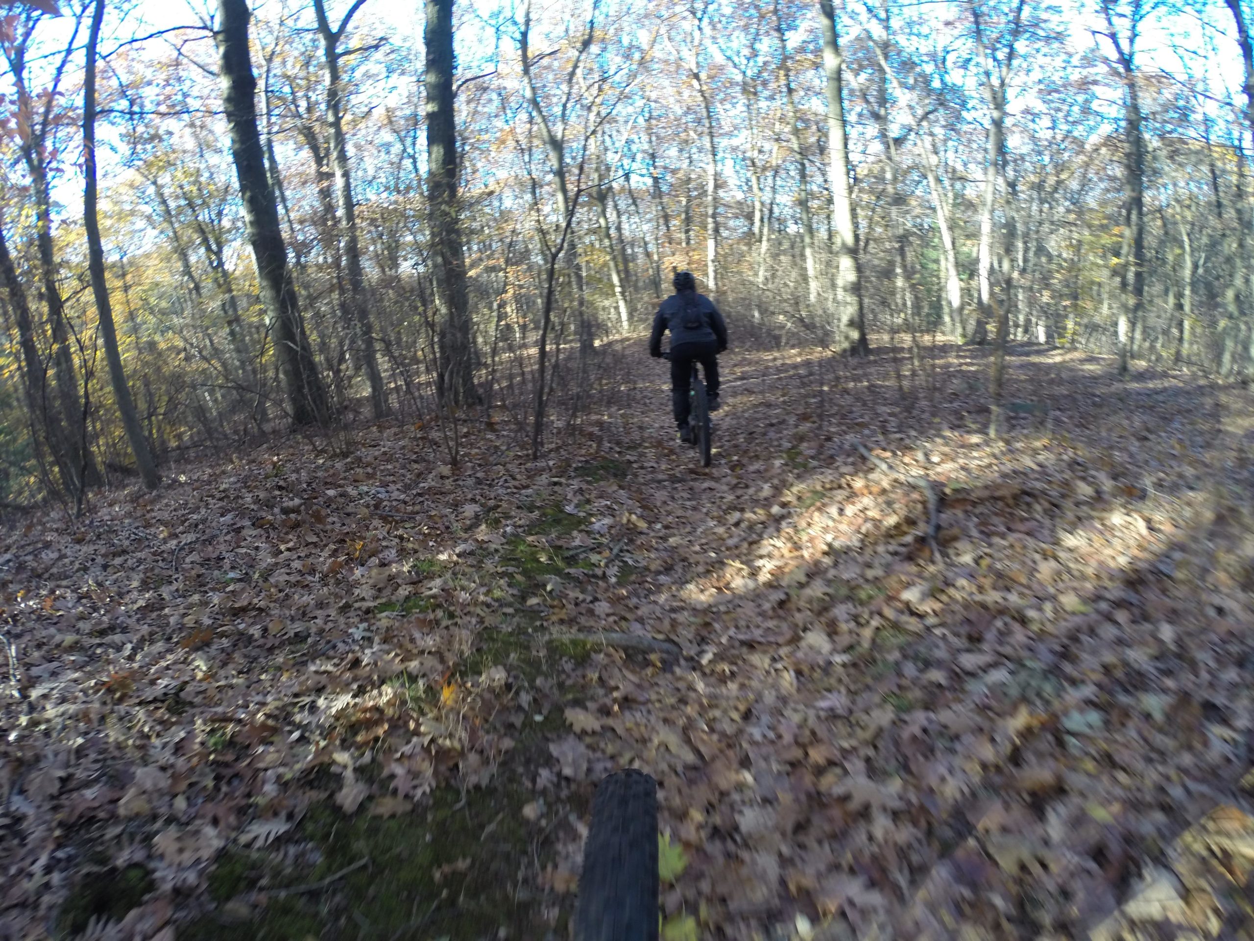 A cyclist riding along a winding trail in a forest during autumn, surrounded by trees and fallen leaves on the ground. The scene captures the natural beauty of the outdoors with clear blue skies visible through the branches. Richmond Avenue and Forest Hill road mountain bike trail.