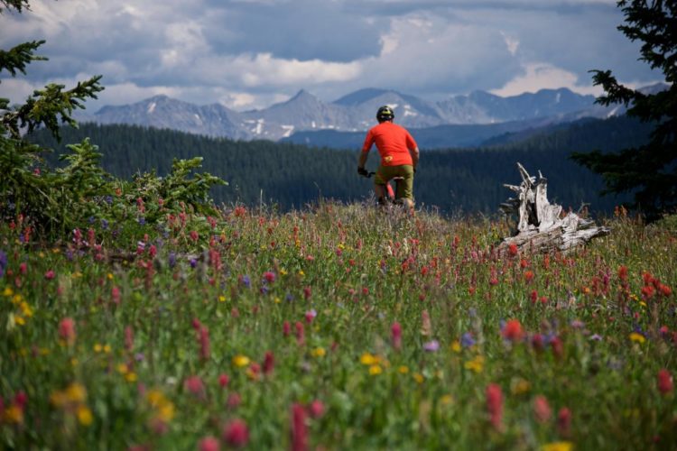 A person in a red shirt and helmet rides a mountain bike along a grassy trail filled with vibrant wildflowers, surrounded by a backdrop of green trees and distant mountains under a partly cloudy sky.
