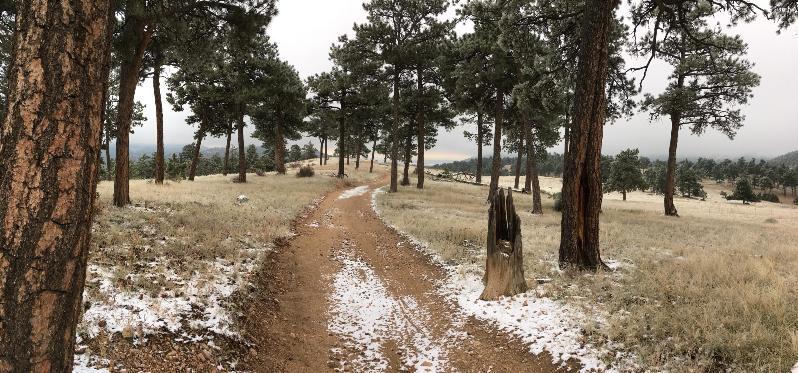 A dirt path winds through a snowy landscape, bordered by tall pine trees. The scene is tranquil, with grassy areas covered in a light dusting of snow. In the background, rolling hills can be seen under a cloudy sky, creating a serene and natural atmosphere. Betasso Preserve mountain bike trail.