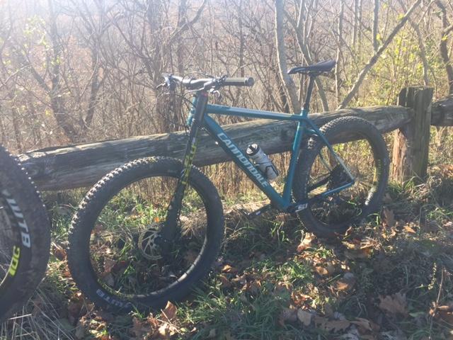 Cannondale Beast of the East: A blue mountain bike parked beside a wooden fence, surrounded by trees and fallen leaves, with a scenic view in the background on a sunny day.