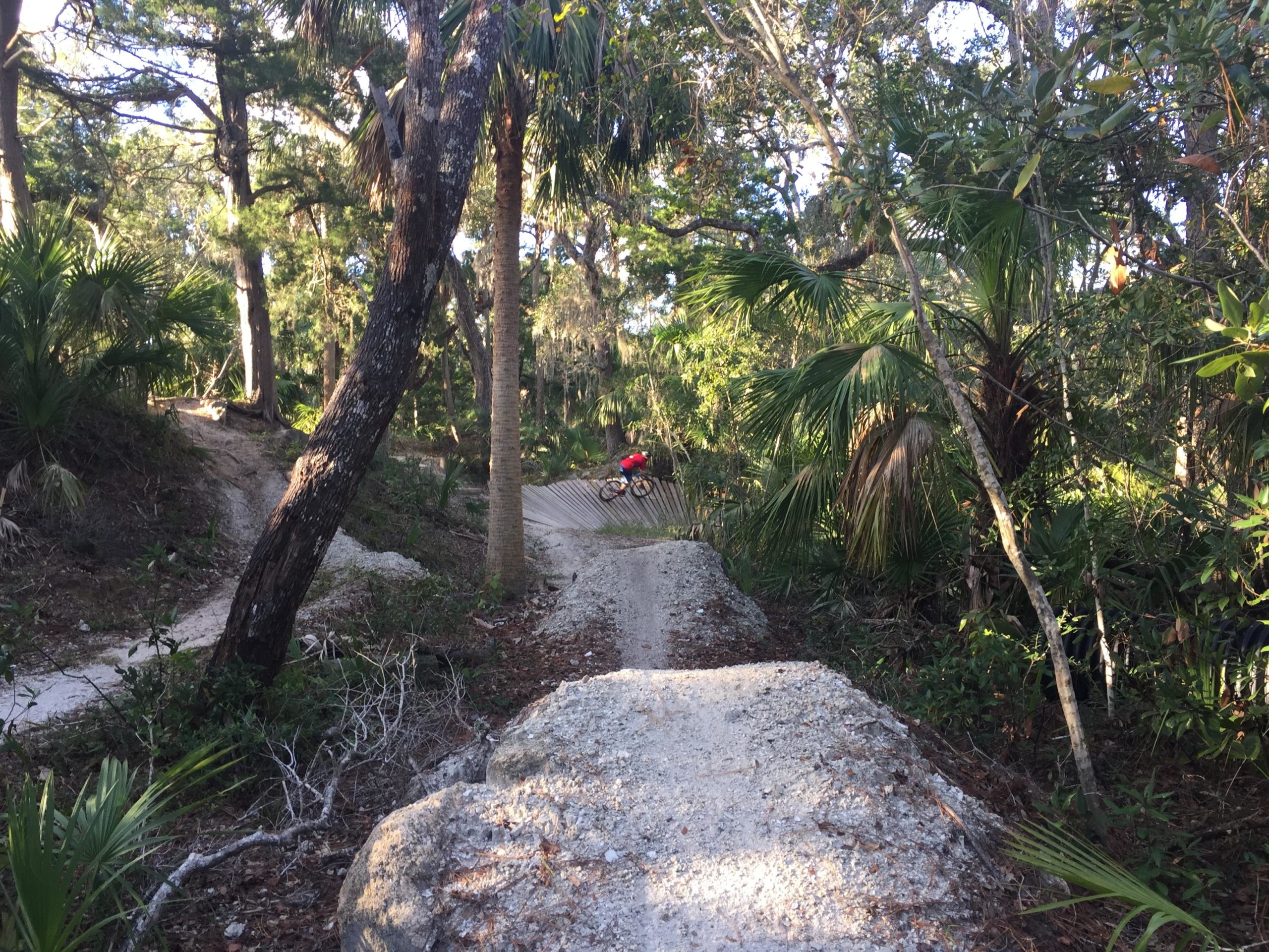 A mountain biker riding a dirt trail through a lush, wooded area with palm trees and vegetation, featuring a dirt ramp in the foreground. Mala Compra mountain bike trail.