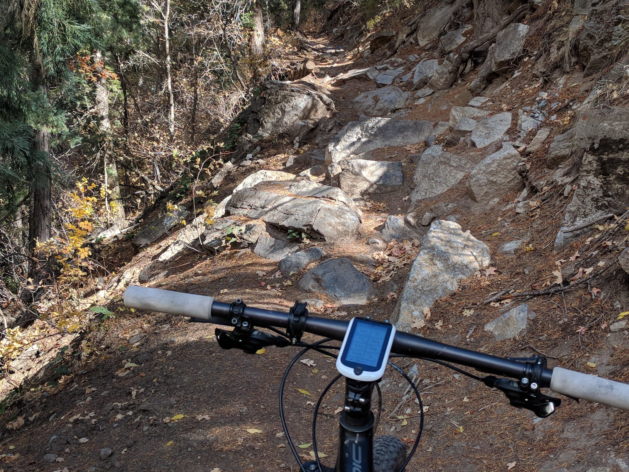 Close-up view of a mountain bike handlebar with a digital display, situated on a rocky, uneven forest trail. Surrounding trees display autumn colors, and fallen leaves cover the ground. The path ahead is narrow and lined with large rocks, indicating a challenging biking route. Richards Hollow mountain bike trail.