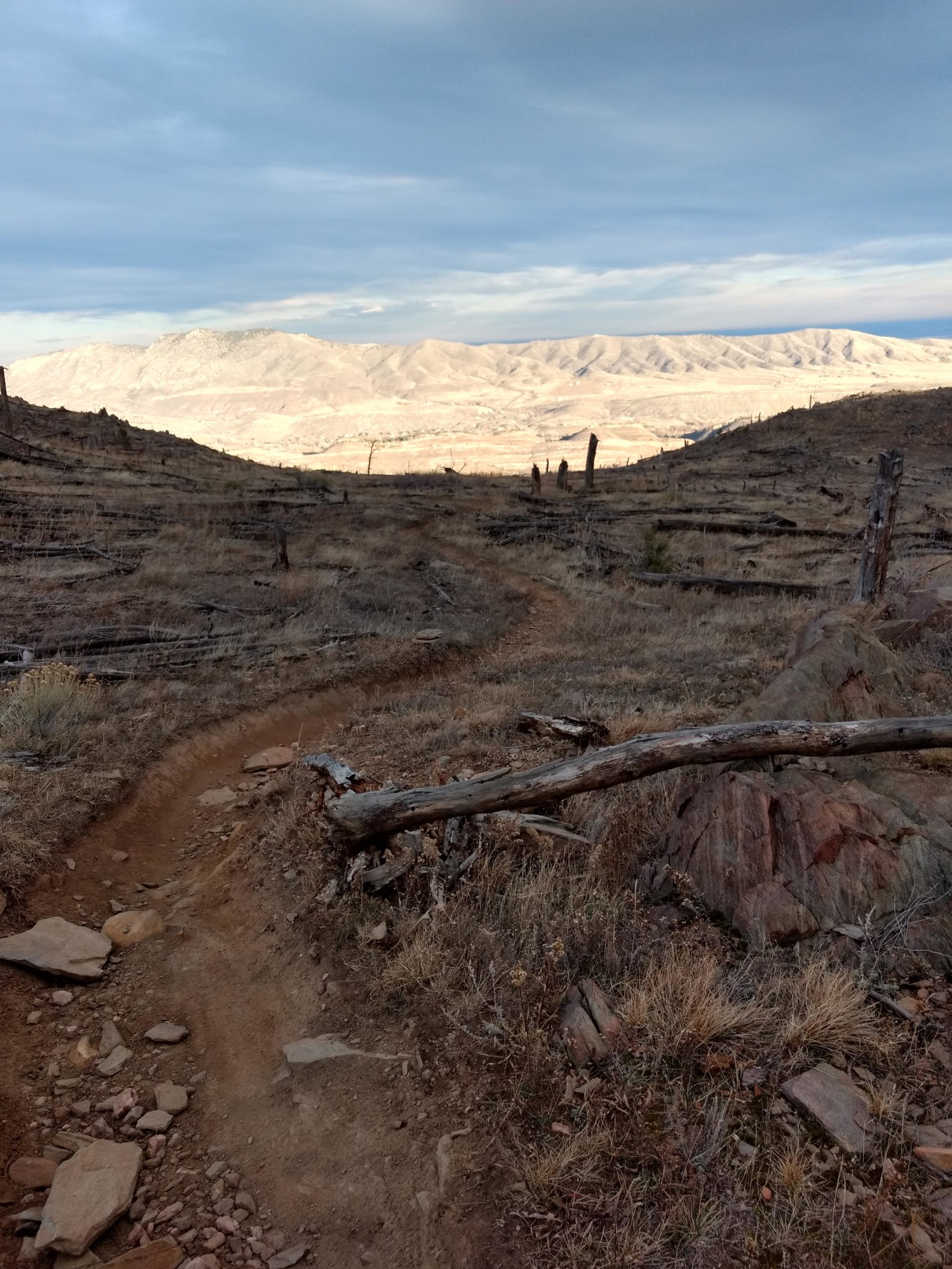 A winding dirt trail leads through a dry, grassy landscape scattered with rocks and fallen logs, offering a view of distant mountains under a partly cloudy sky. Bobcat Ridge mountain bike trail.