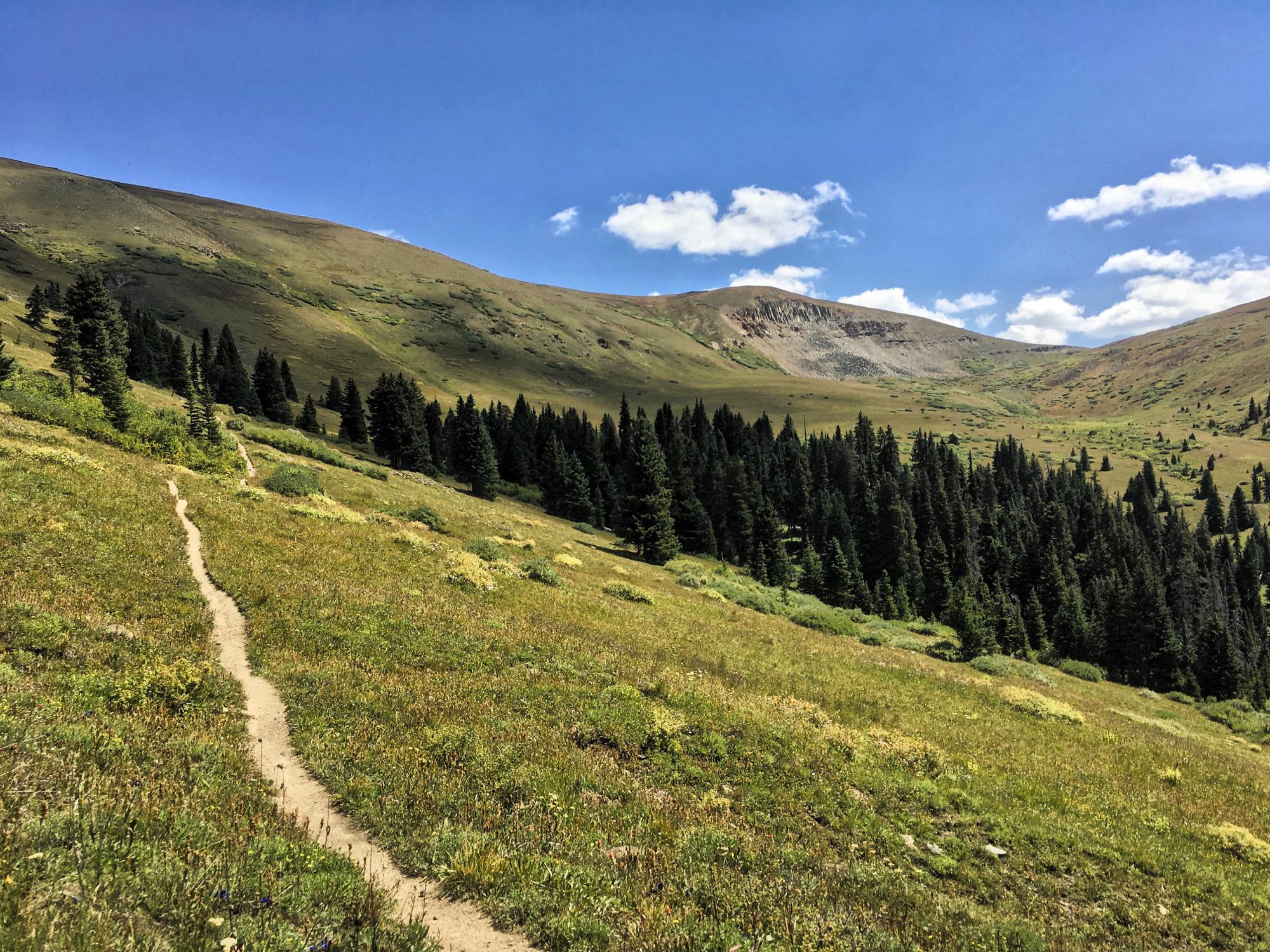 A scenic landscape showing a winding dirt path leading through a grassy meadow with wildflowers, bordered by tall evergreen trees. In the background, rolling hills rise under a clear blue sky with a few fluffy white clouds. Colorado Trail: Searle Pass and Kokomo Pass (Copper Mountain to Camp Hale) mountain bike trail.
