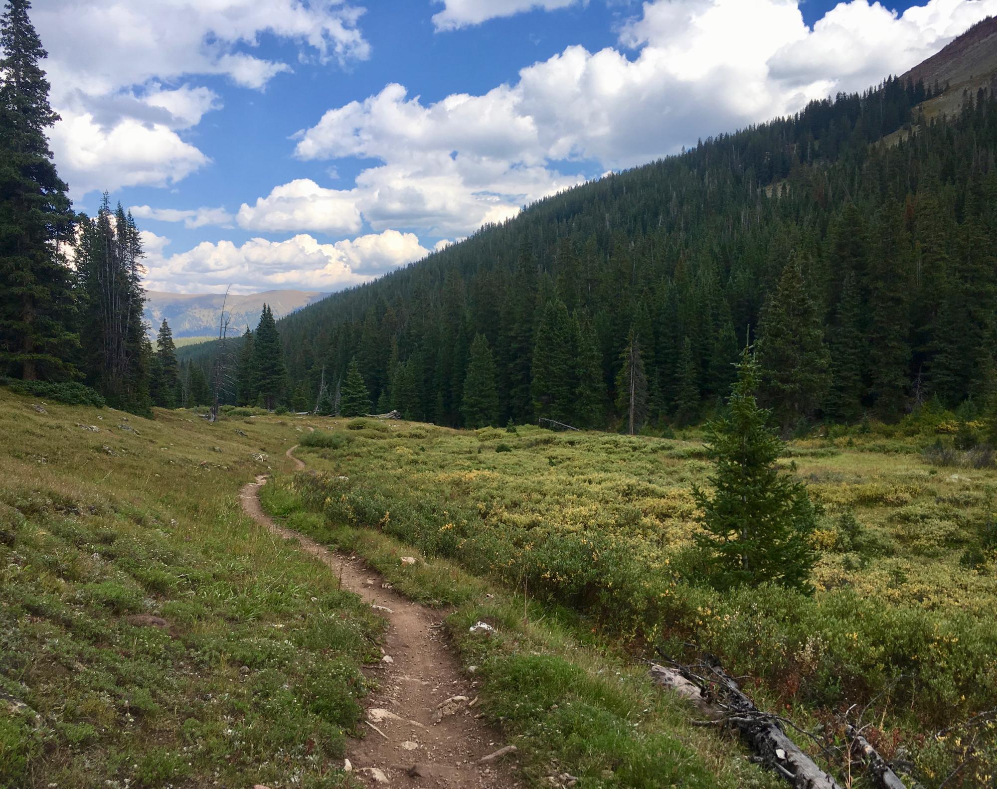 A winding dirt path leads through lush green meadows and dense coniferous forests under a partly cloudy sky. Mountains are faintly visible in the background, adding to the serene, natural landscape. Colorado Trail: Searle Pass and Kokomo Pass (Copper Mountain to Camp Hale) mountain bike trail.