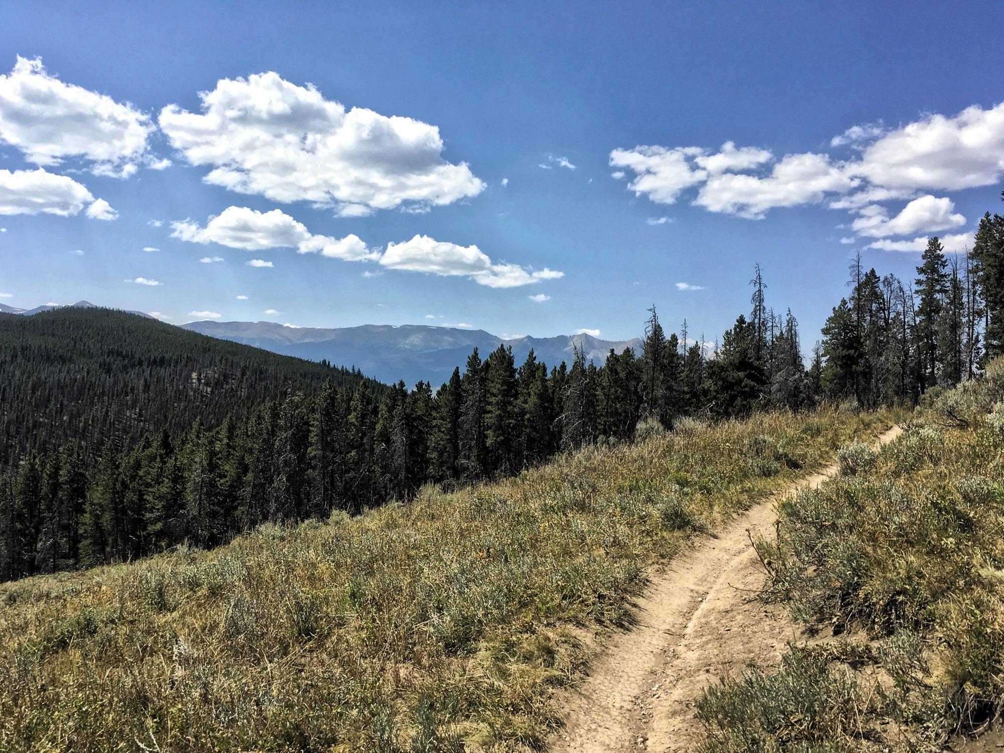 A winding dirt path through a grassy meadow, surrounded by dense pine trees and distant mountains under a blue sky dotted with fluffy white clouds. Colorado Trail: Kenosha Pass To Breckenridge mountain bike trail.