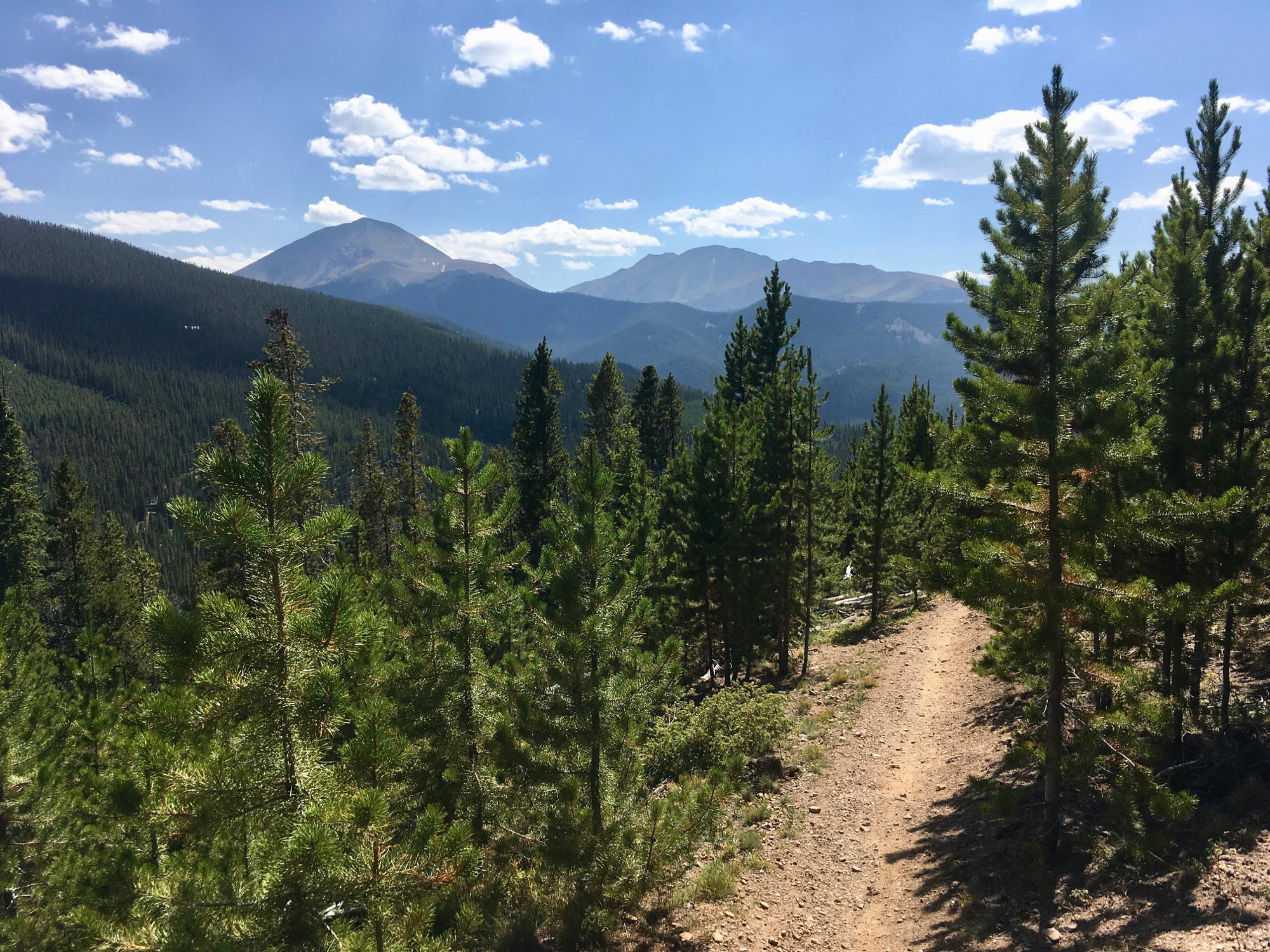 A scenic view of a mountain trail surrounded by tall pine trees, with jagged mountains visible in the background under a blue sky with fluffy white clouds. The dirt path leads through the forest, inviting exploration and adventure. Colorado Trail: Kenosha Pass To Breckenridge mountain bike trail.