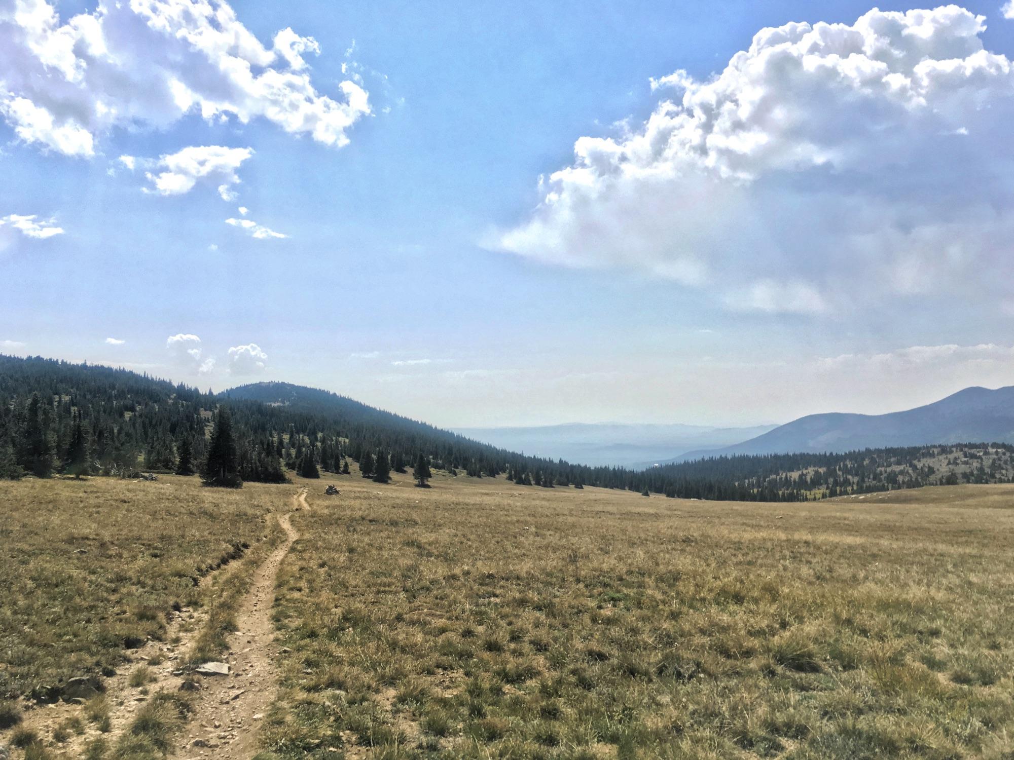 A picturesque landscape featuring a dirt path winding through a grassy meadow, surrounded by evergreen trees and rolling hills under a partly cloudy blue sky. The scene conveys a sense of tranquility and natural beauty. Colorado Trail: Kenosha Pass To Breckenridge mountain bike trail.