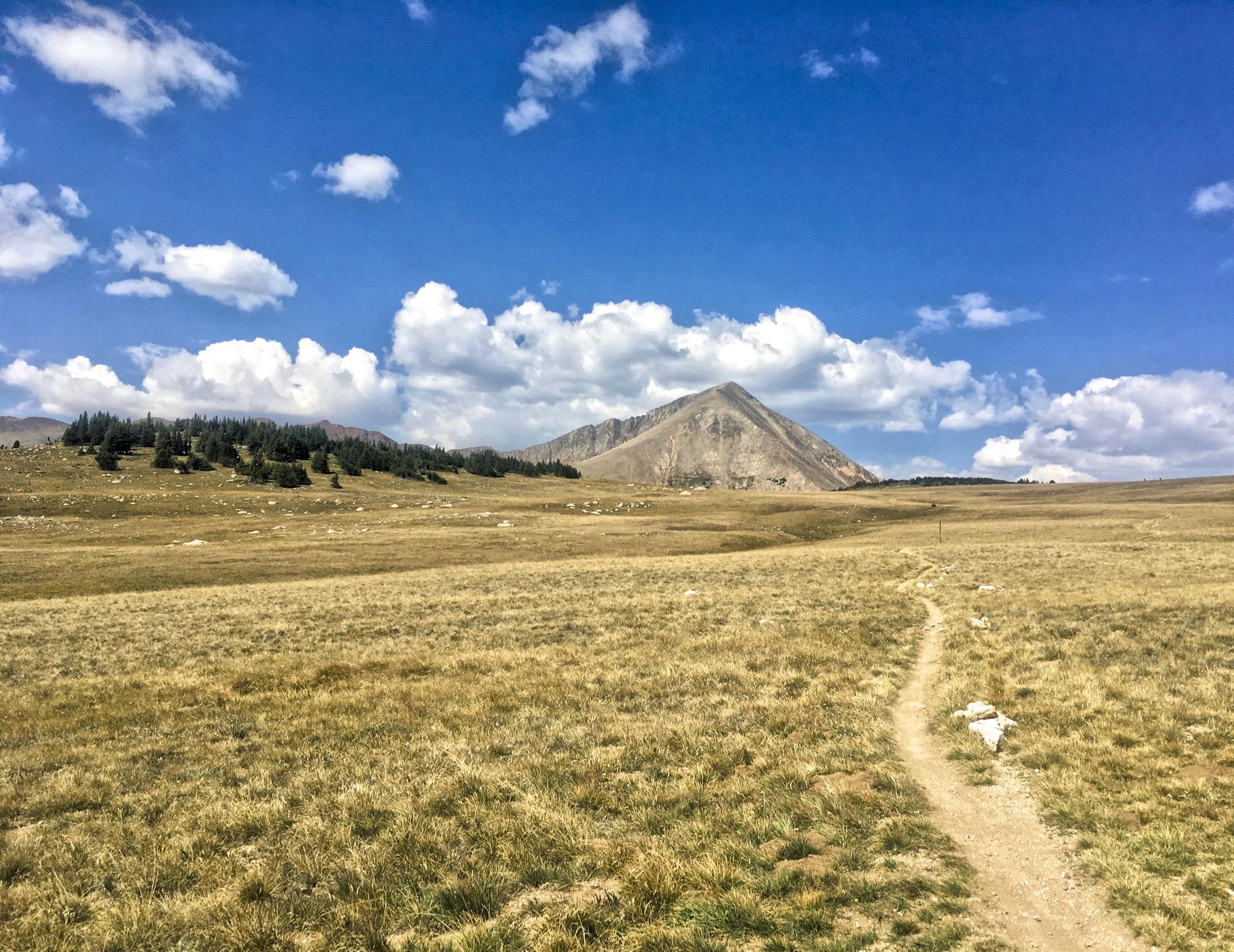 A wide-open landscape featuring a dirt trail winding through a grassy field, with a prominent mountain in the background under a blue sky adorned with fluffy white clouds. Pine trees are visible on the hillside to the left. Colorado Trail: Kenosha Pass To Breckenridge mountain bike trail.