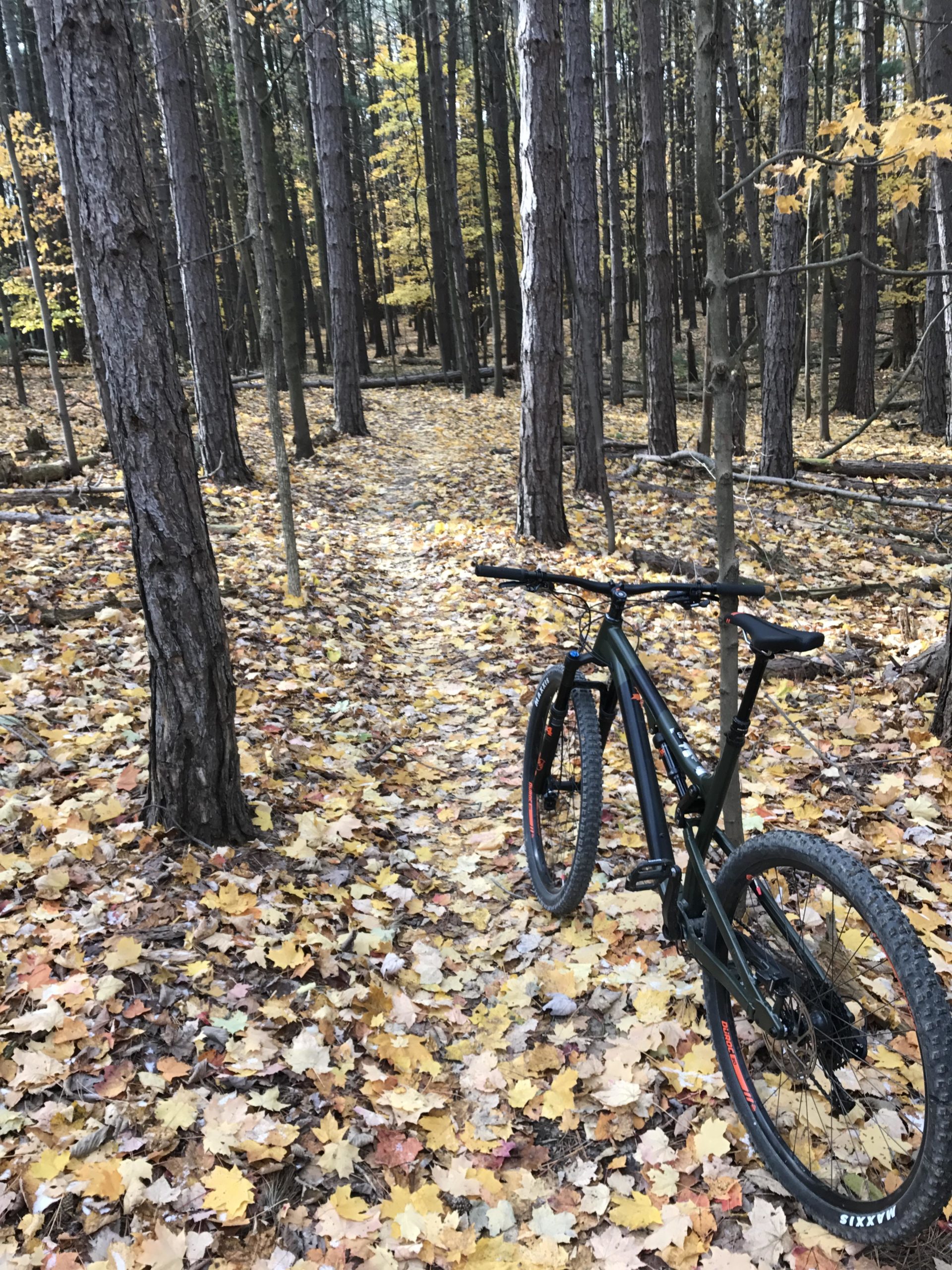 A mountain bike resting on a forest trail covered with colorful autumn leaves, surrounded by tall trees with hints of yellow foliage. Royalview mountain bike trail.