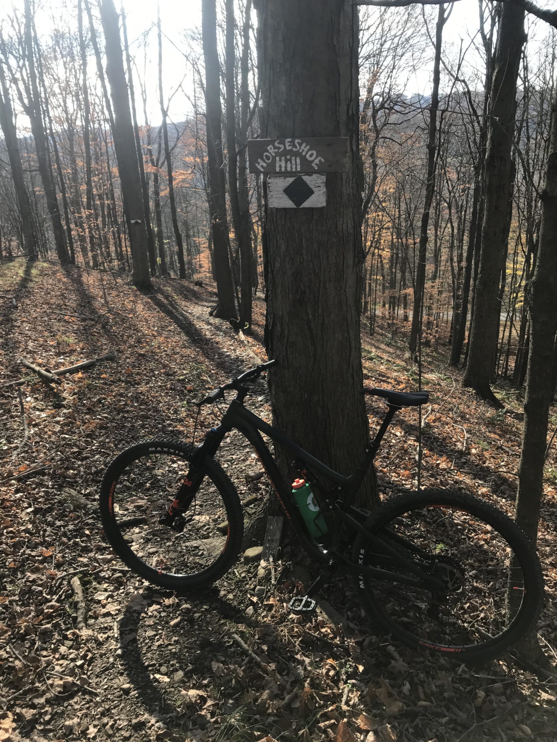 A mountain bike leaning against a tree near a sign that reads "Horseshoe Hill" in a wooded area with fallen leaves. Sunlight filters through the trees, creating shadows on the ground. Vultures Knob mountain bike trail.