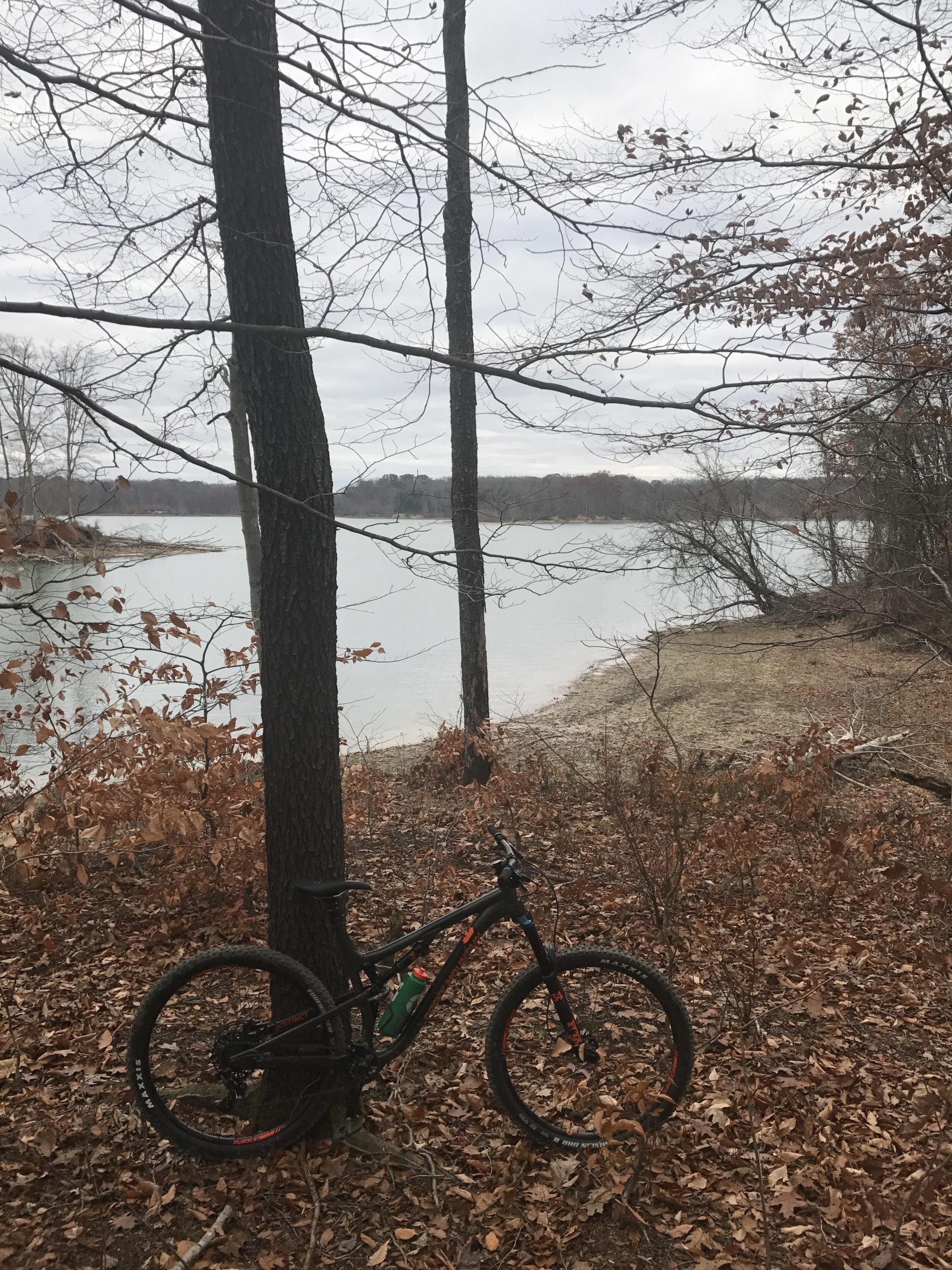 A mountain bike resting against a tree near a calm lake surrounded by bare trees and fallen leaves, set against a cloudy sky. West Branch mountain bike trail.