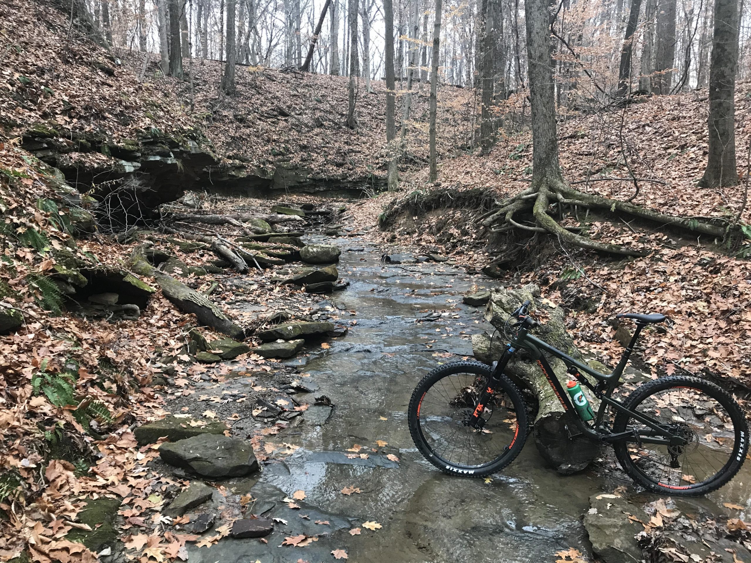 A mountain bike rests on a rock near a small stream in a wooded area, surrounded by autumn leaves and trees. The scene depicts a tranquil natural setting with earthy tones and fallen foliage, inviting outdoor exploration. West Branch mountain bike trail.